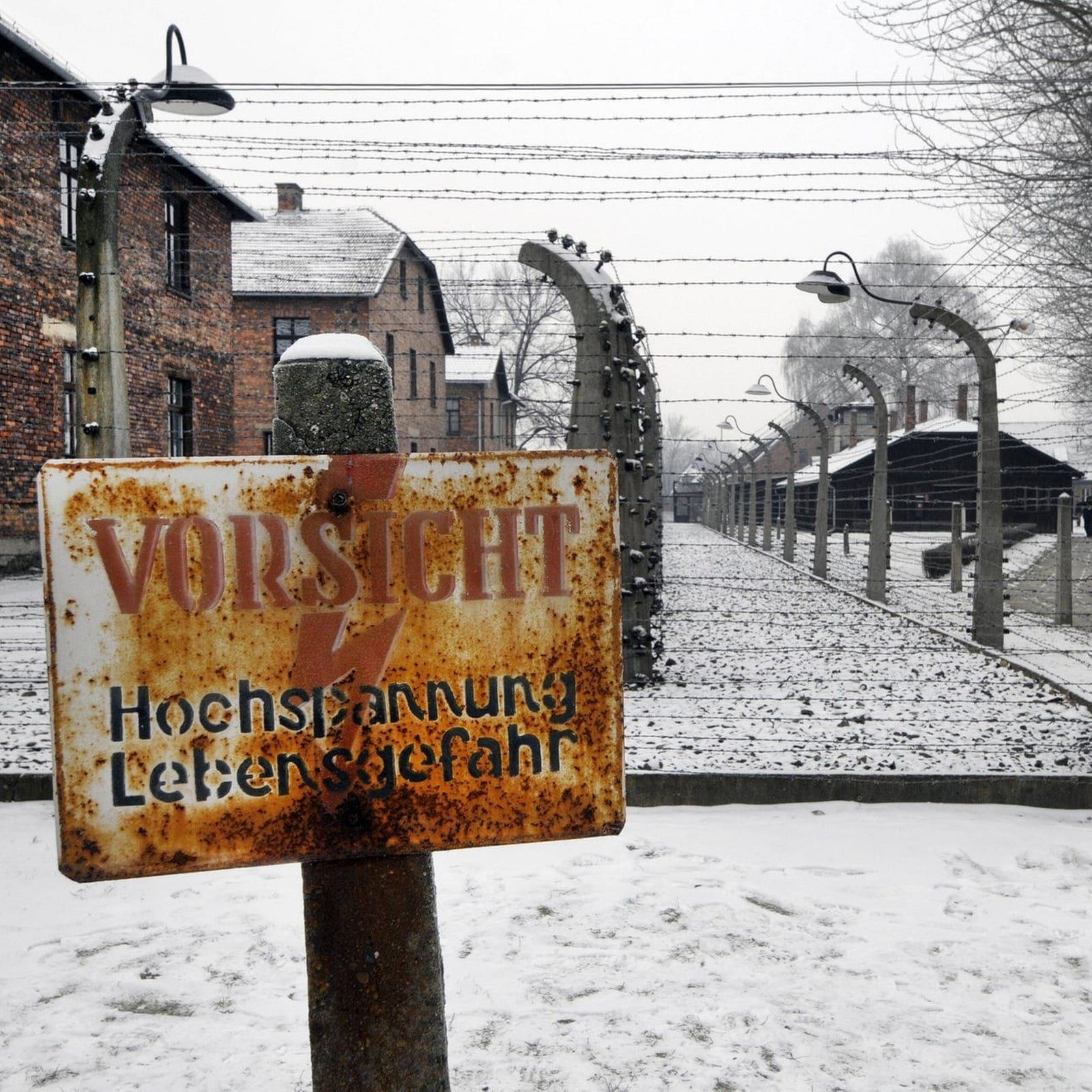 KZ Auschwitz-Birkenau: Spurensuche und Zukunftsangst