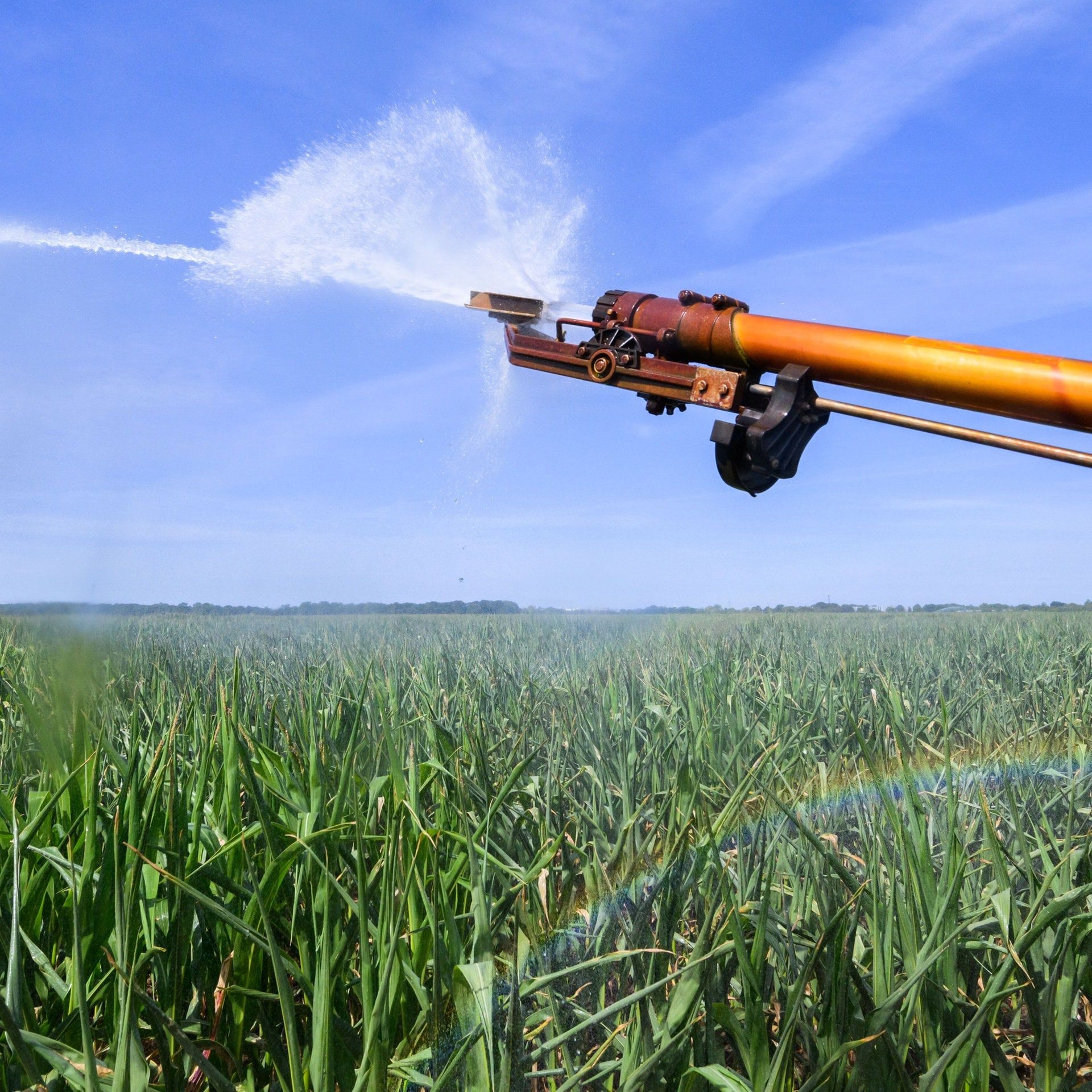 Landwirtschaft und Wasser: Wie können künftige Konflikte ums Wasser entschärft werden?