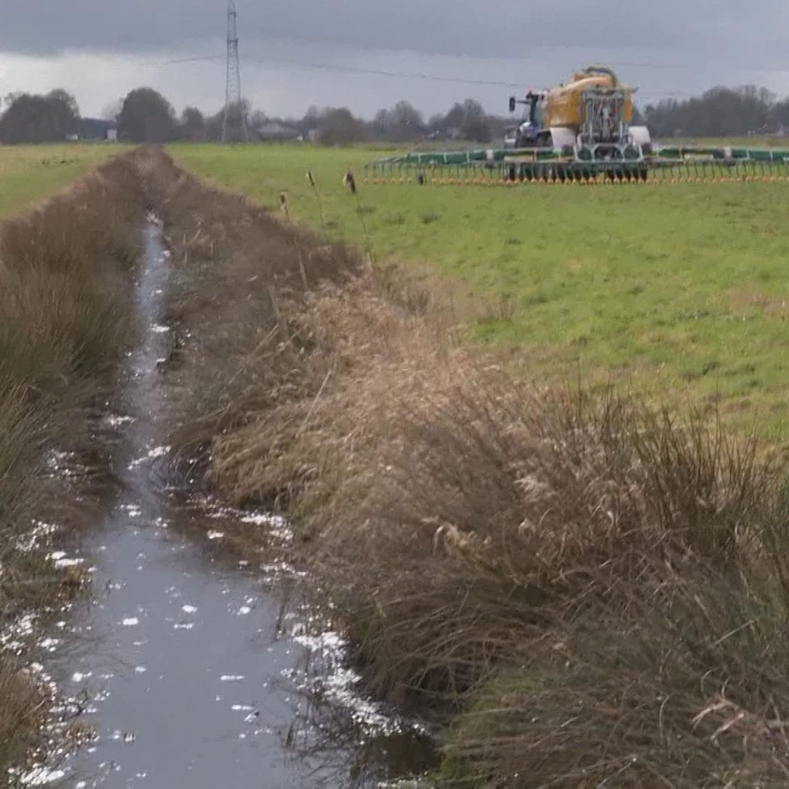 Landwirtschaft: Wie viel Dünger ist zu viel?