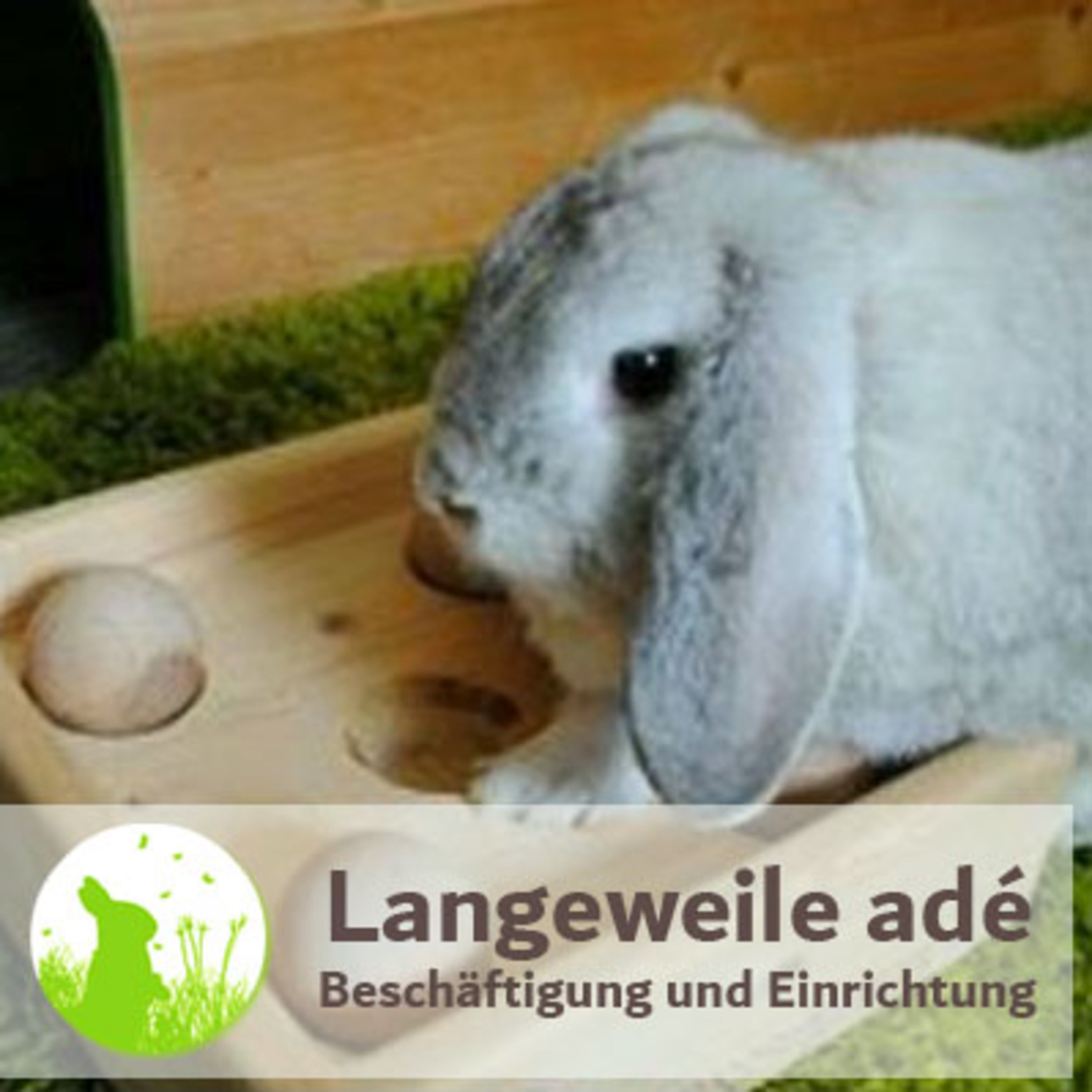 Langeweile adé: Beschäftigung und Einrichtung