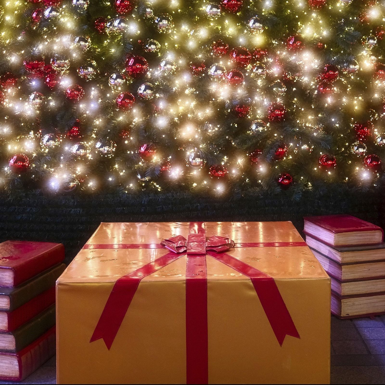 Last Minute: Fünf Tipps für Bücher als Weihnachtsgeschenk