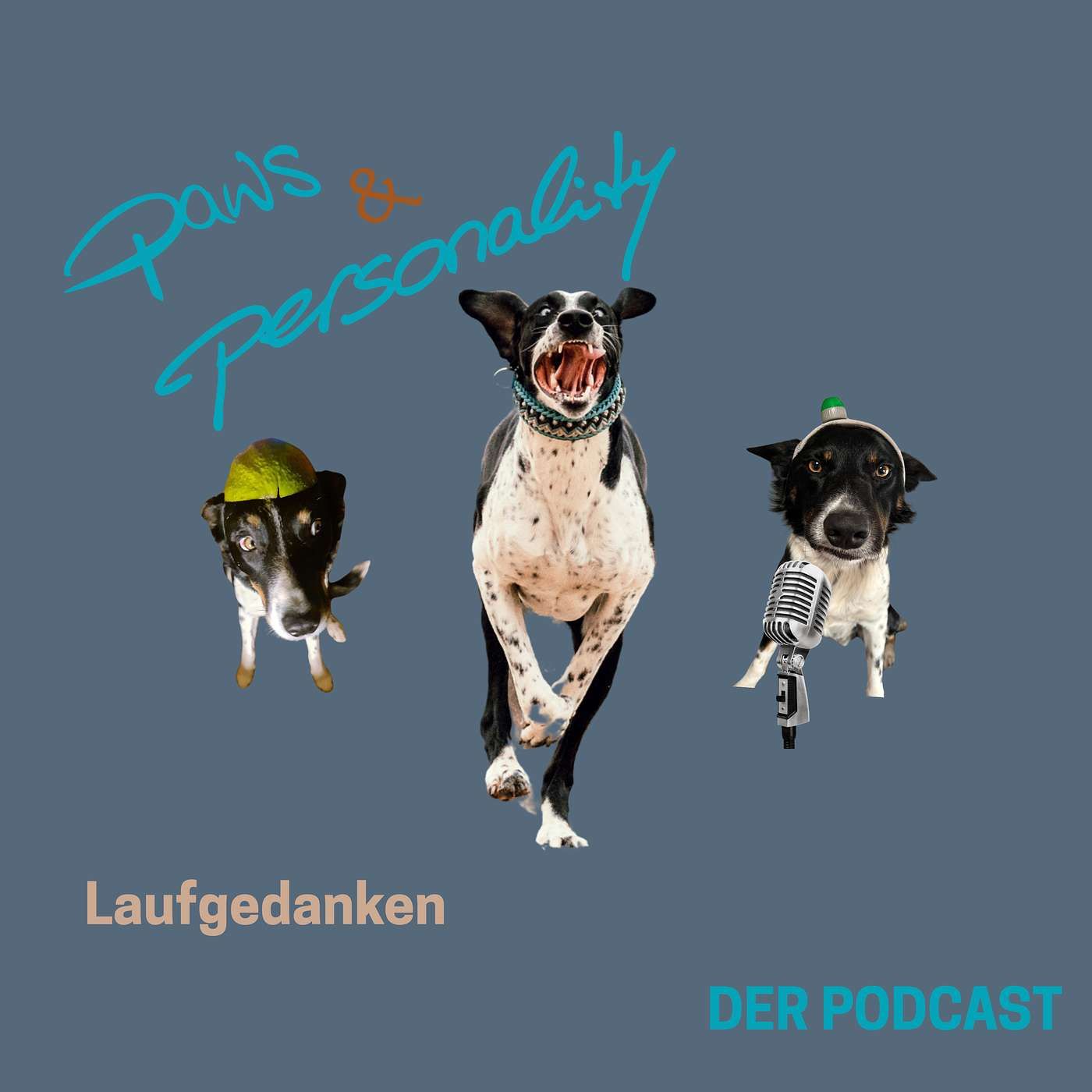 Laufgedanken - Training mit einem sehr reizoffenem Hund