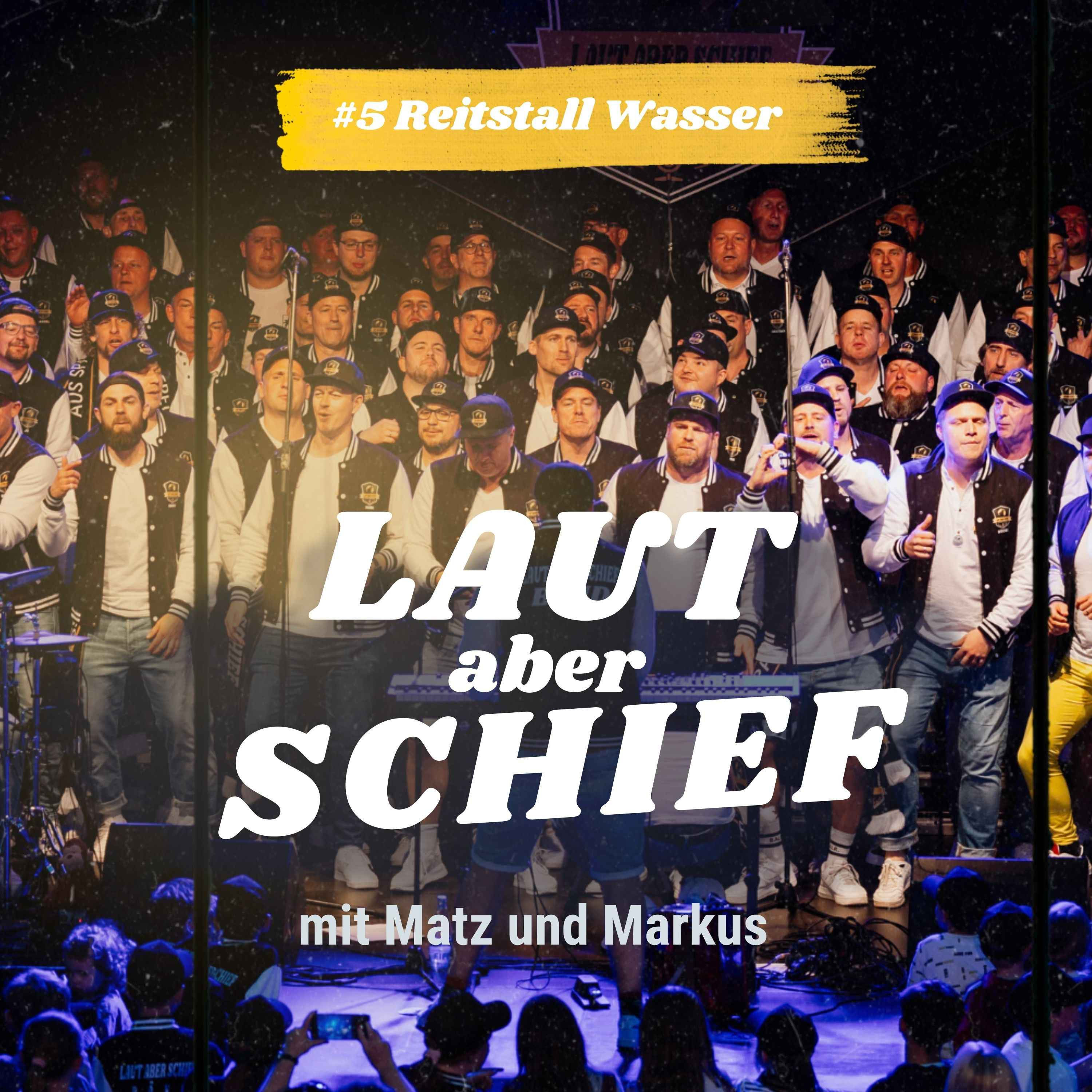 Laut Aber Wiehern - ein Auftritt im Galopp