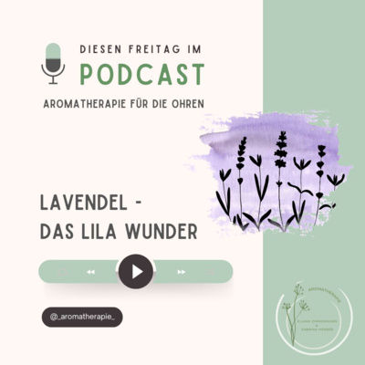 Lavendel – Das lila Wunder
