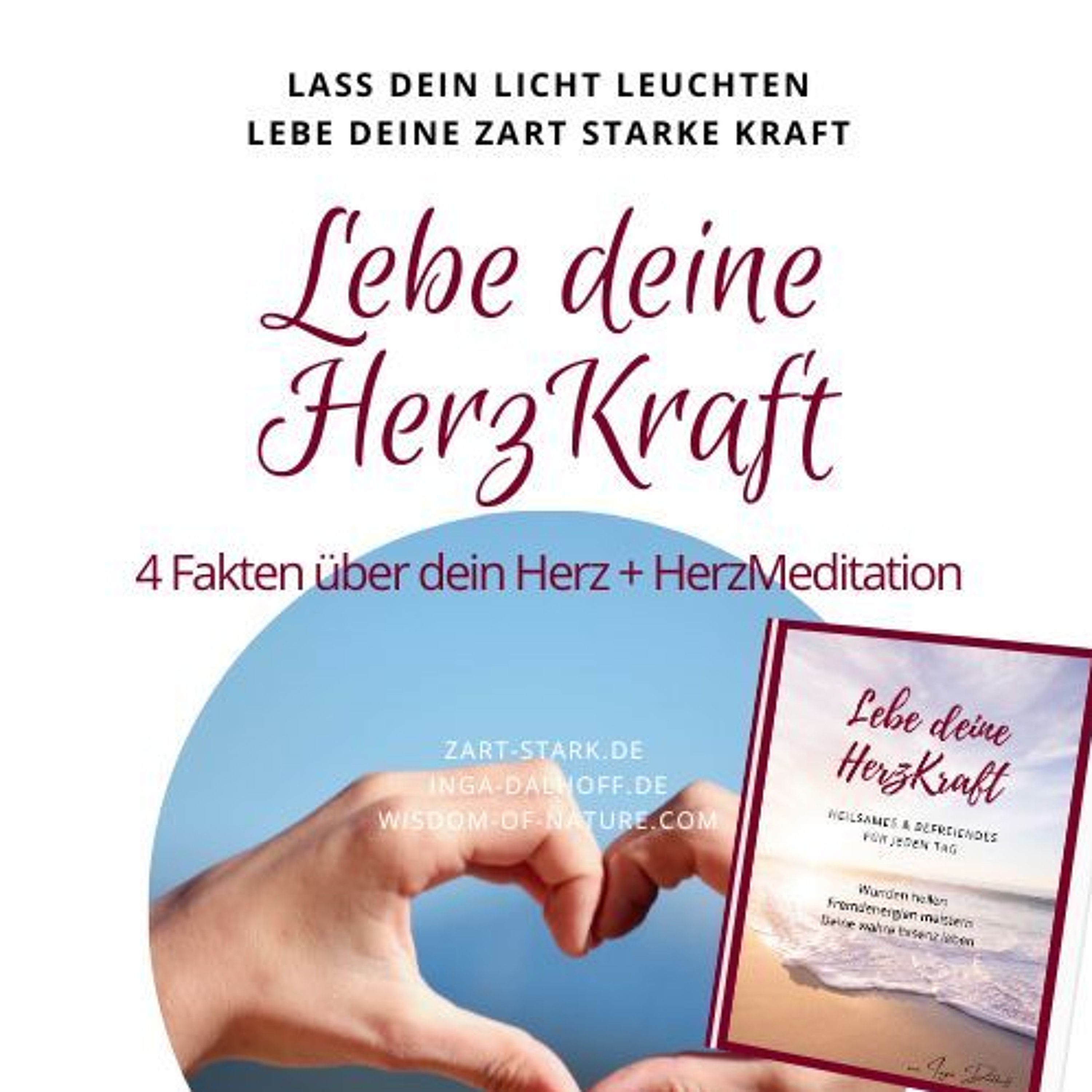 Lebe deine HerzKraft - 4 Fakten über dein Herz + HerzMeditation