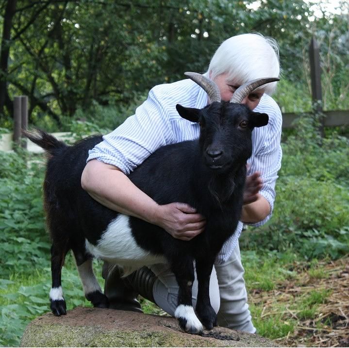 Leben als Eremitin