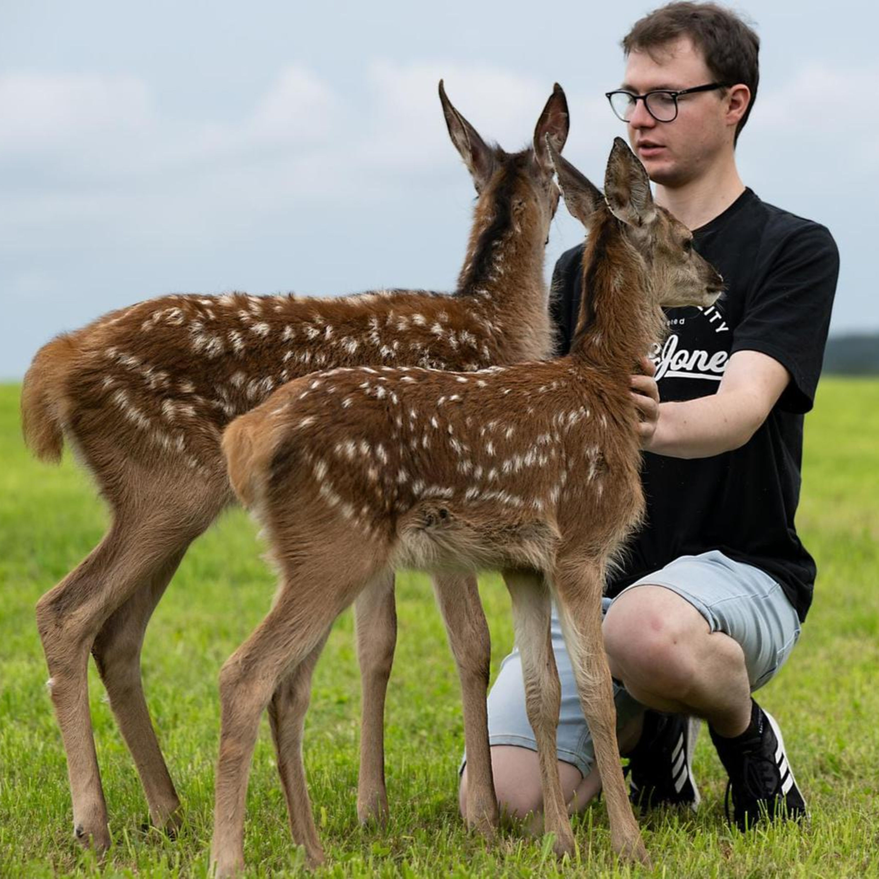 Leben unter Rehen - zu Gast bei Alex Dreher