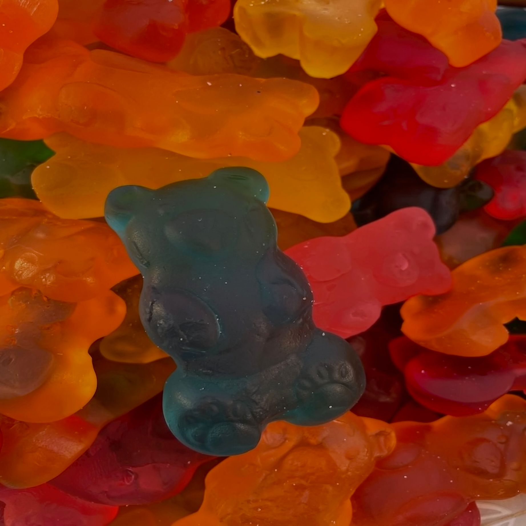 Lebens-Intergrations-Prozess