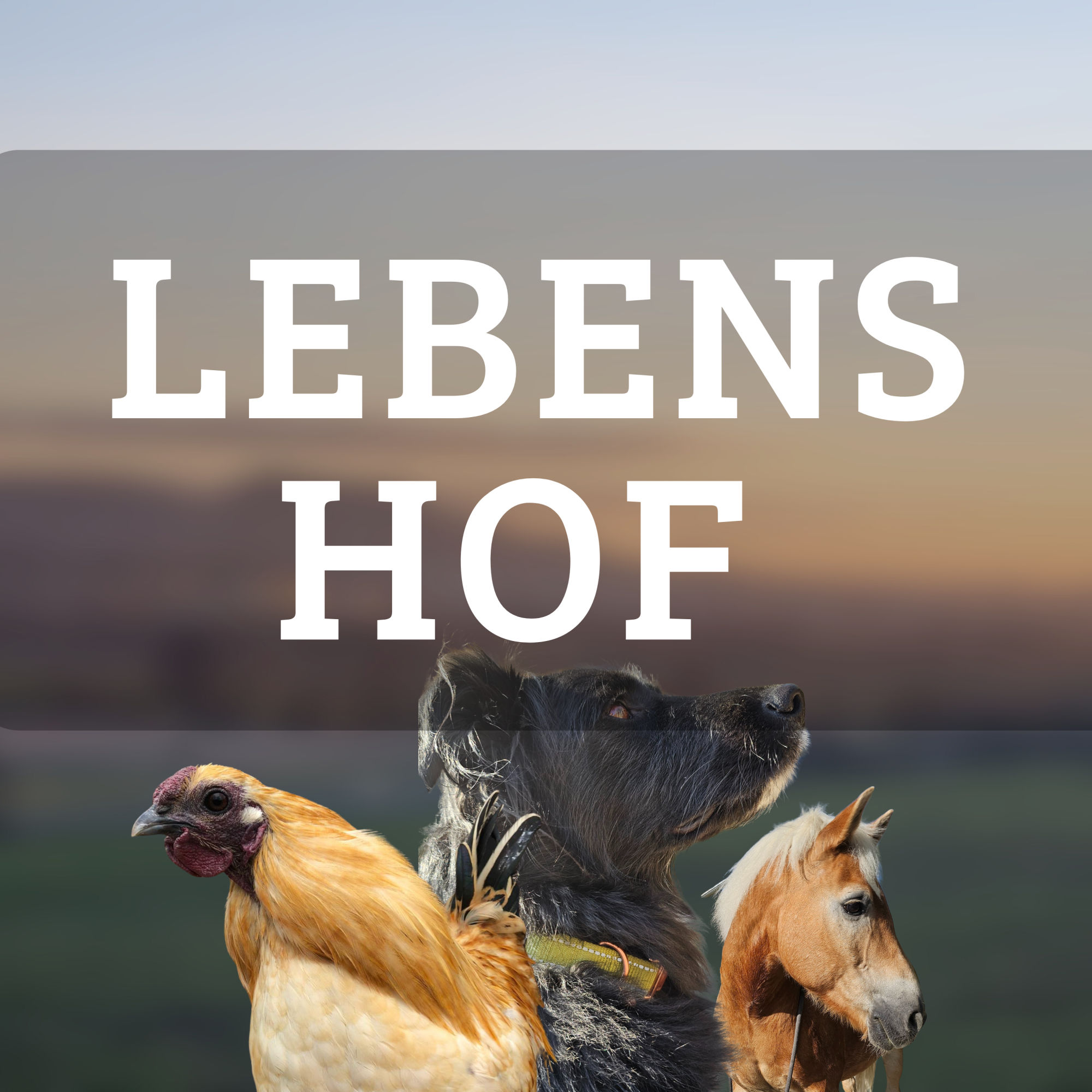 Lebenshof Gründung mit den Oberfranken Girls