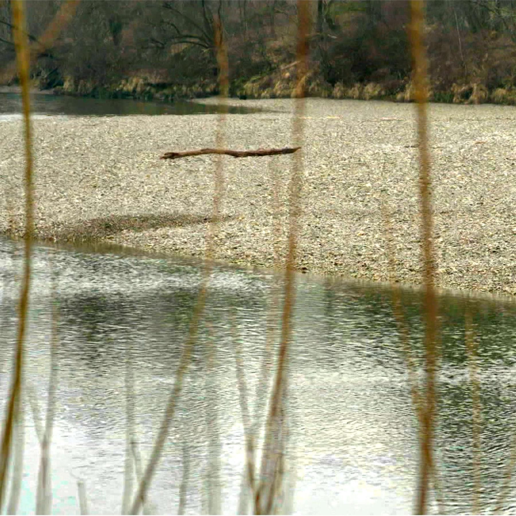 Lech-Renaturierung – der befreite Fluss