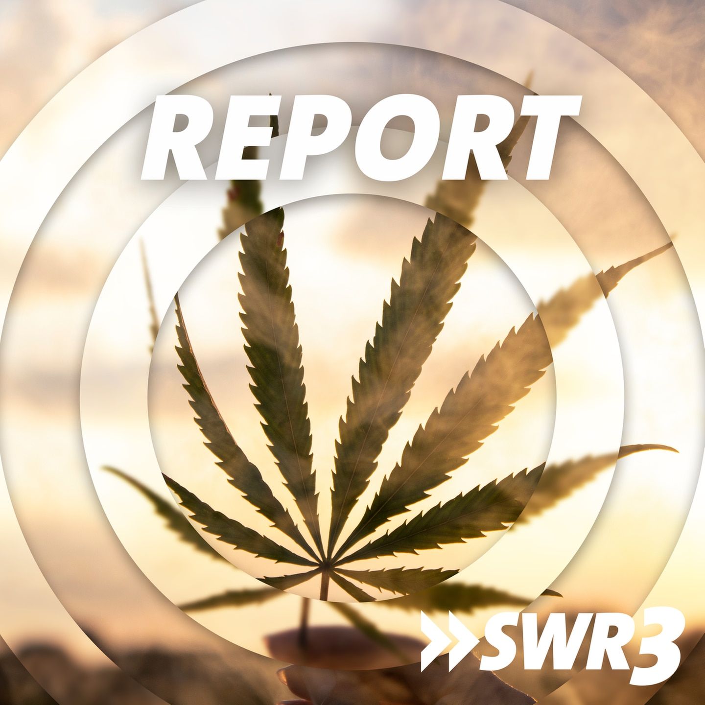 Legaler Rausch – wann wird Cannabis erlaubt?