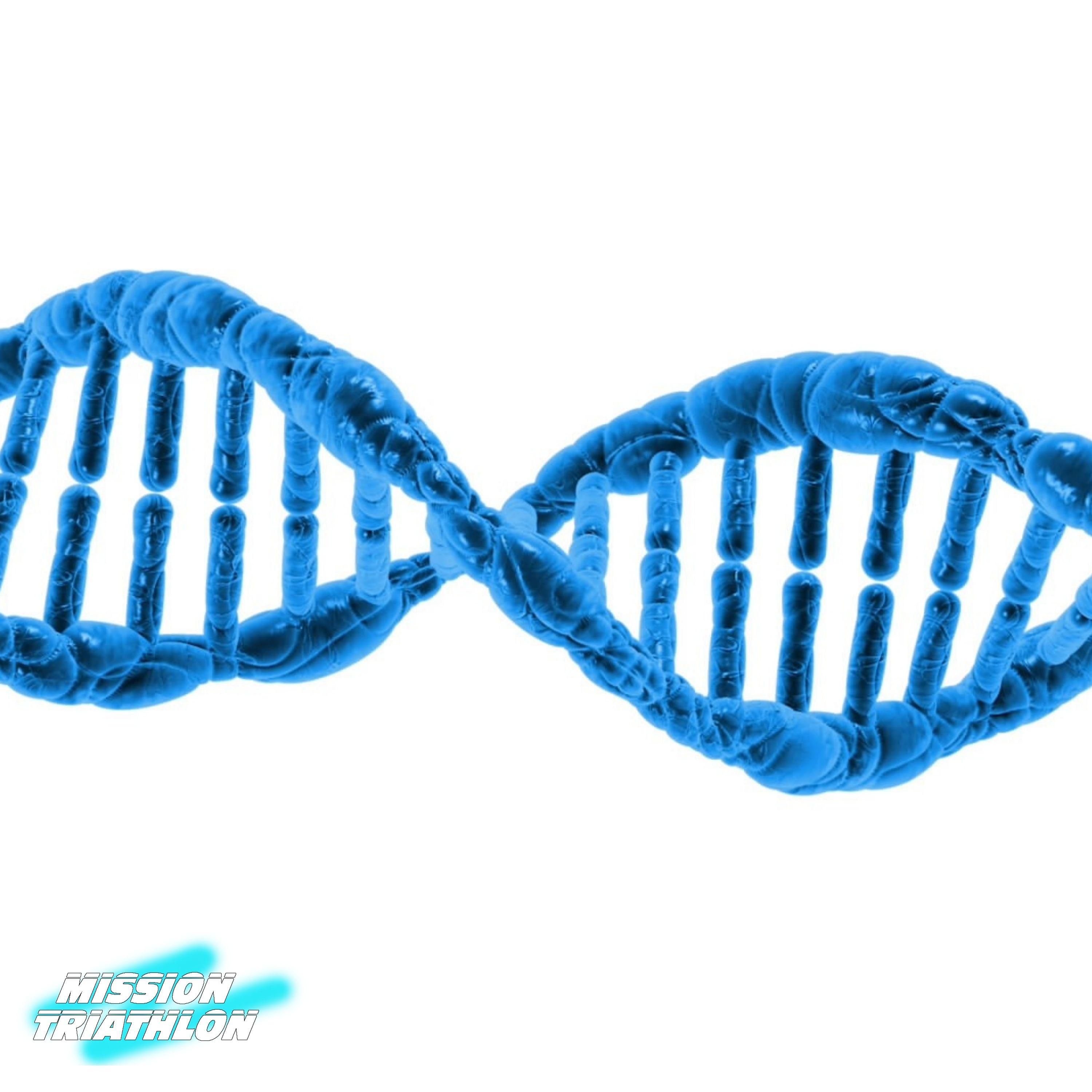 Leistungsdiagnostik in der Wettkampfvorbereitung - Täglich Roth 4 - MTP 095