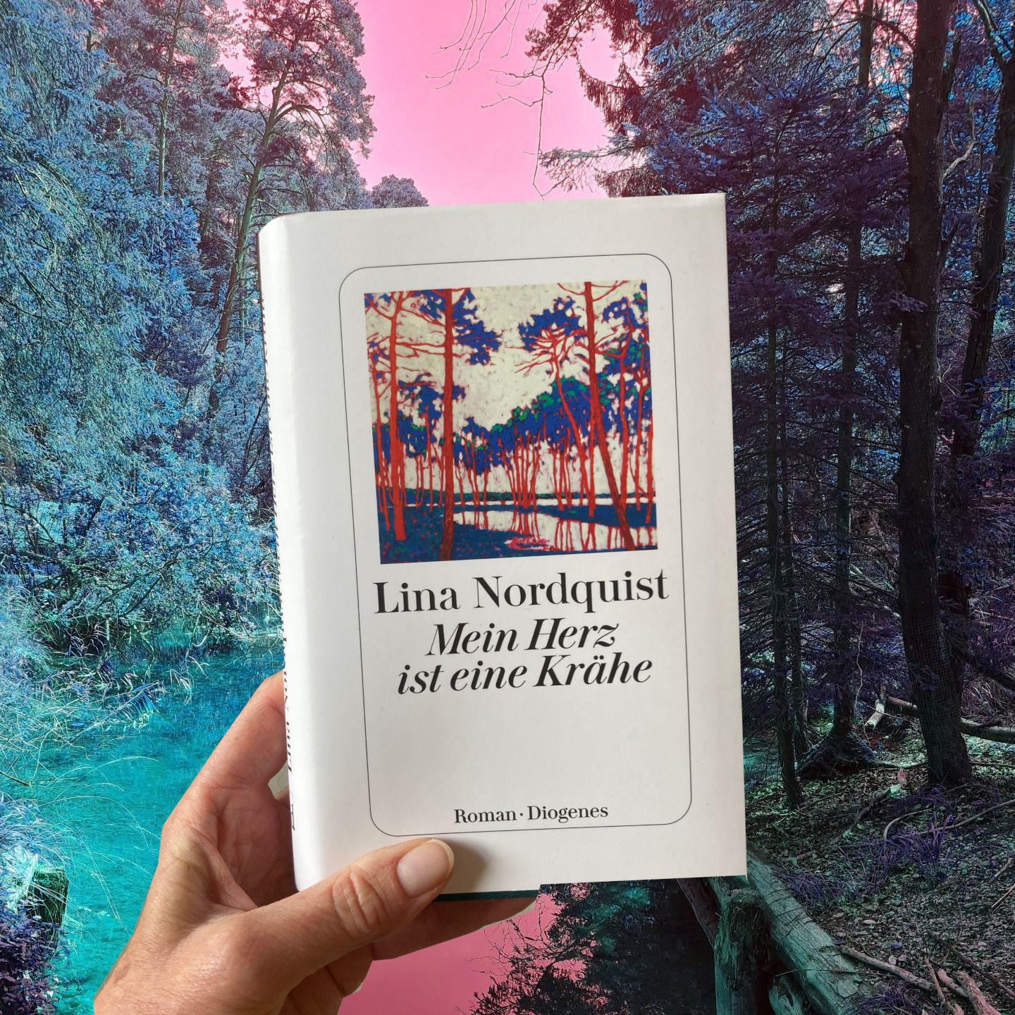 Lina Nordquist: Mein Herz ist eine Krähe