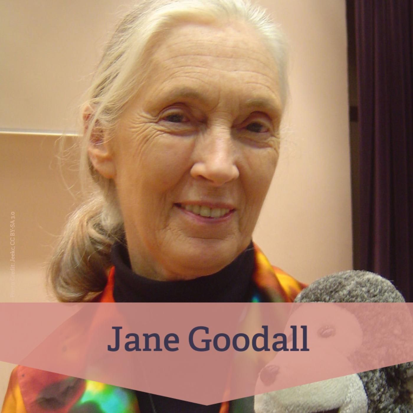 Listen again: #24 Dr. Jane Goodall – Forscherin der Menschenaffen