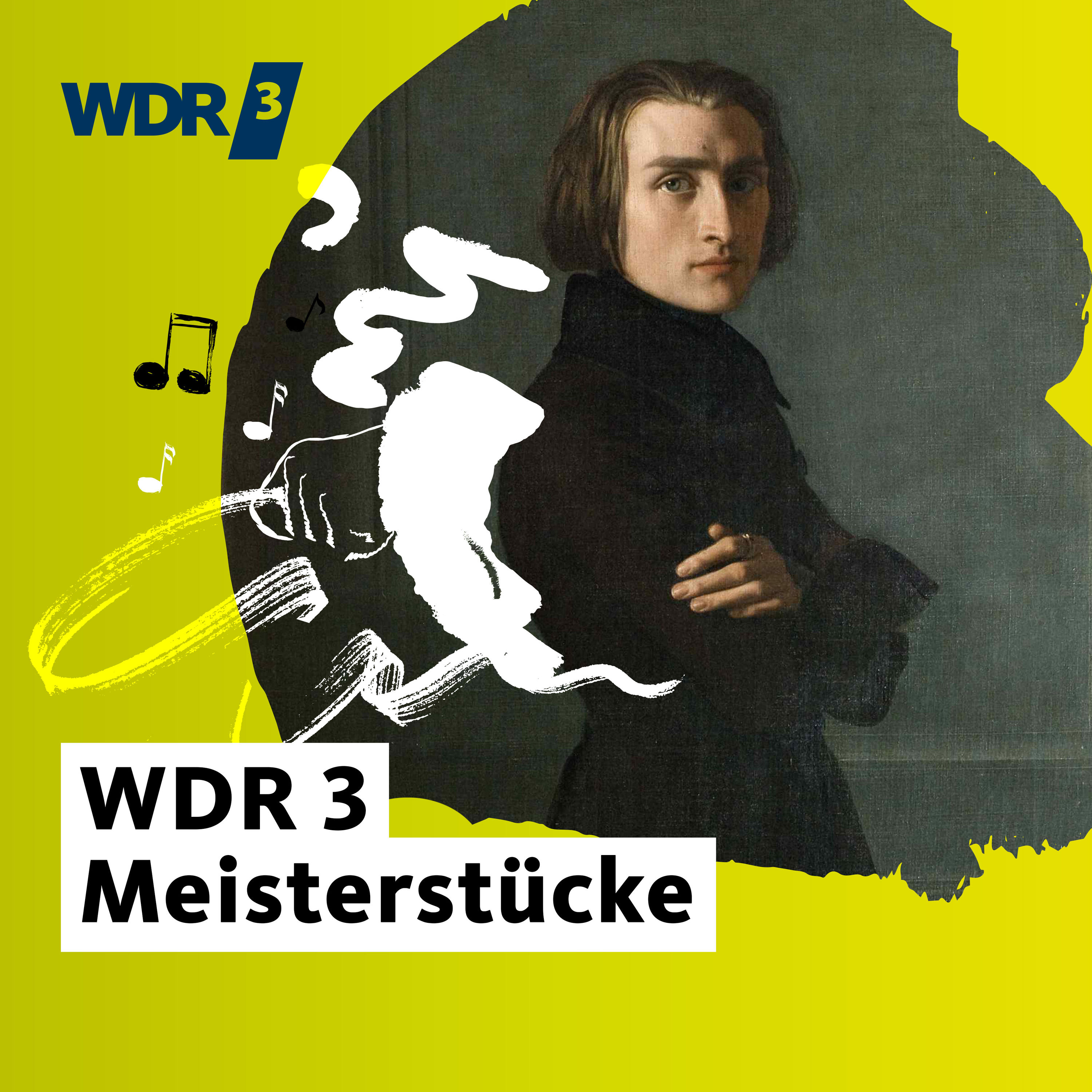 Liszt: Études d'exécution transcendante - Todesart für Pianisten