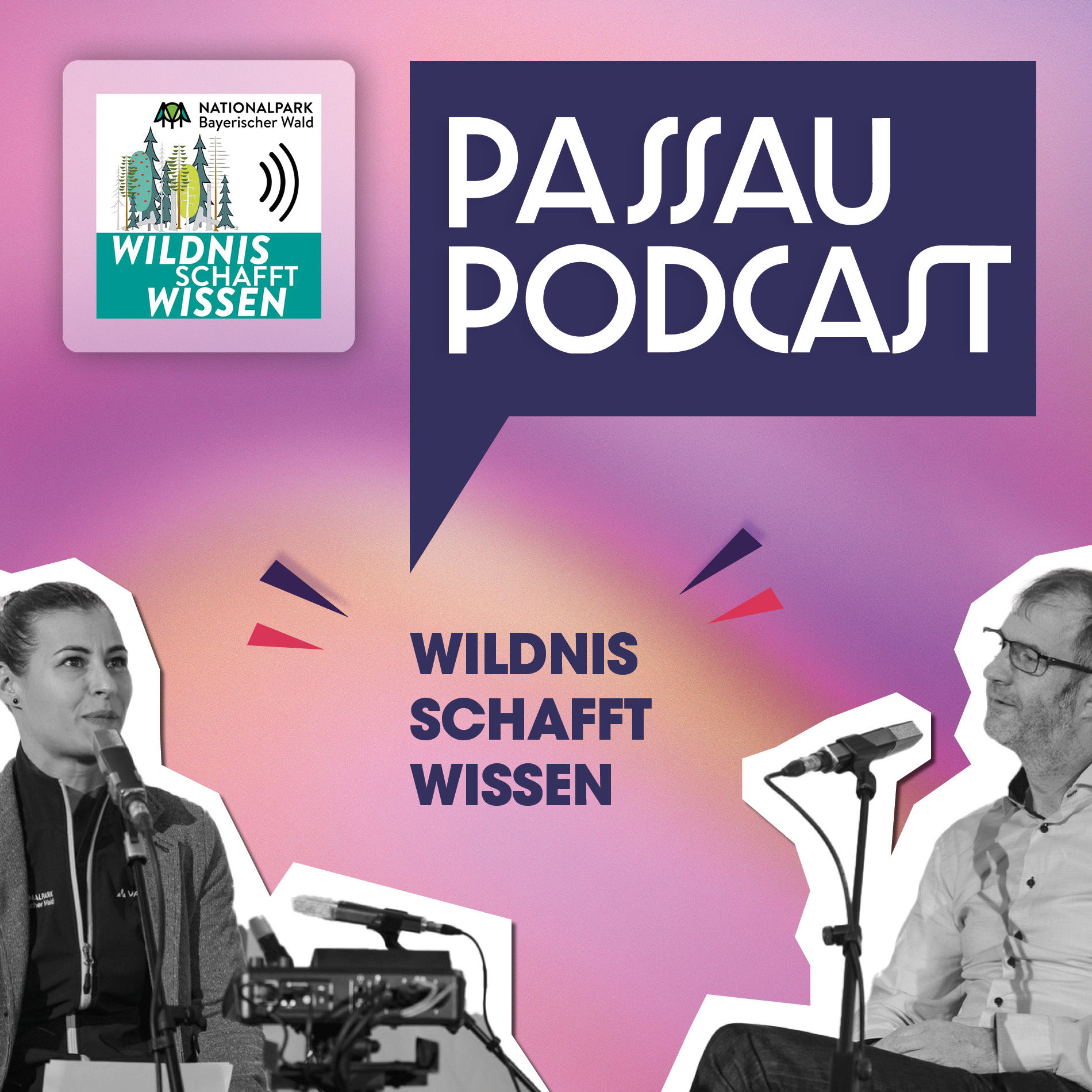 LIVE: Wildnis schafft Wissen – All about Borkenkäfer