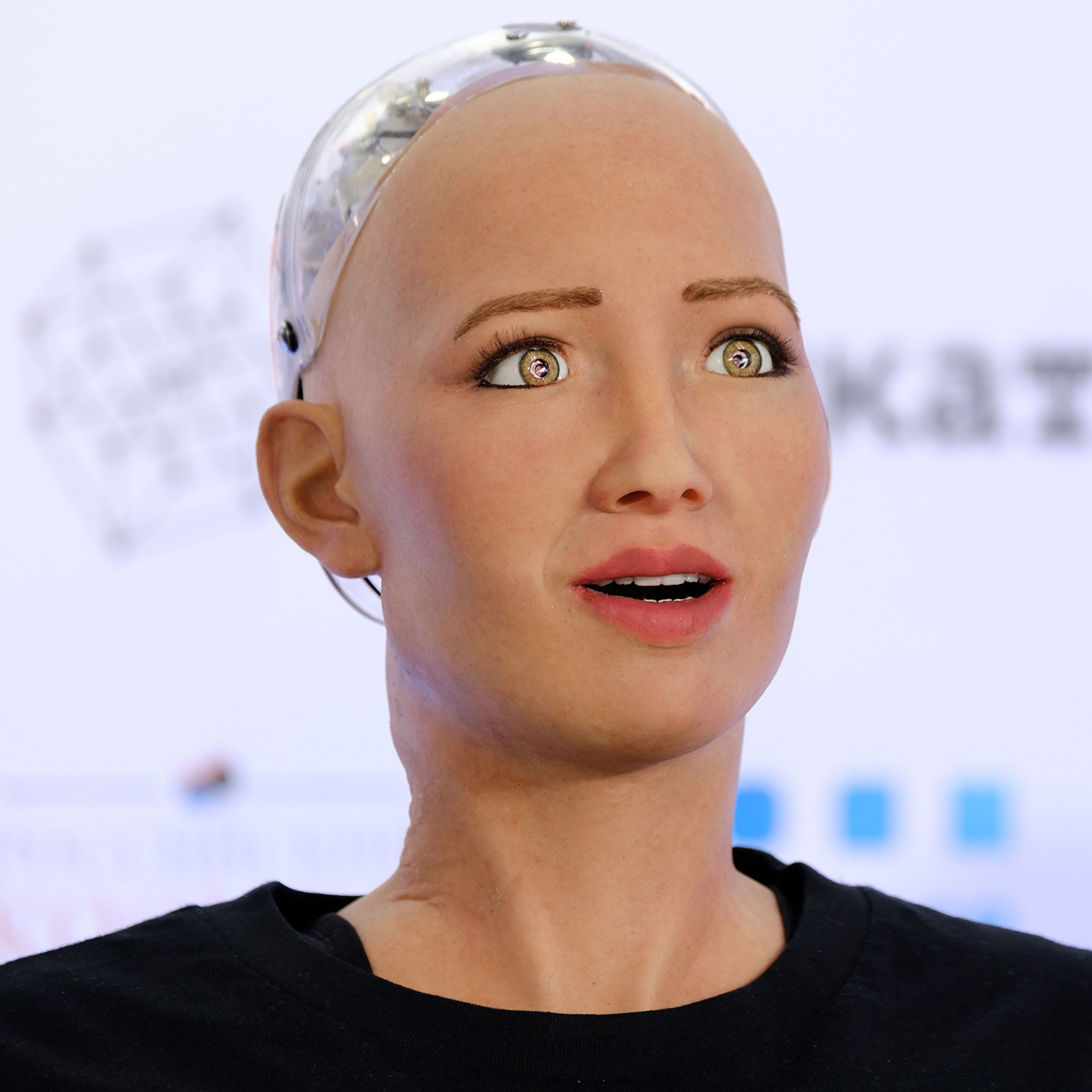 Living with intelligent machines