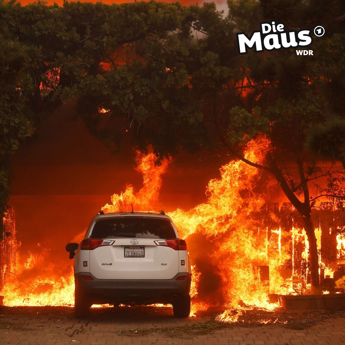 Los Angeles in Flammen - Feuerkatastrophe breitet sich aus