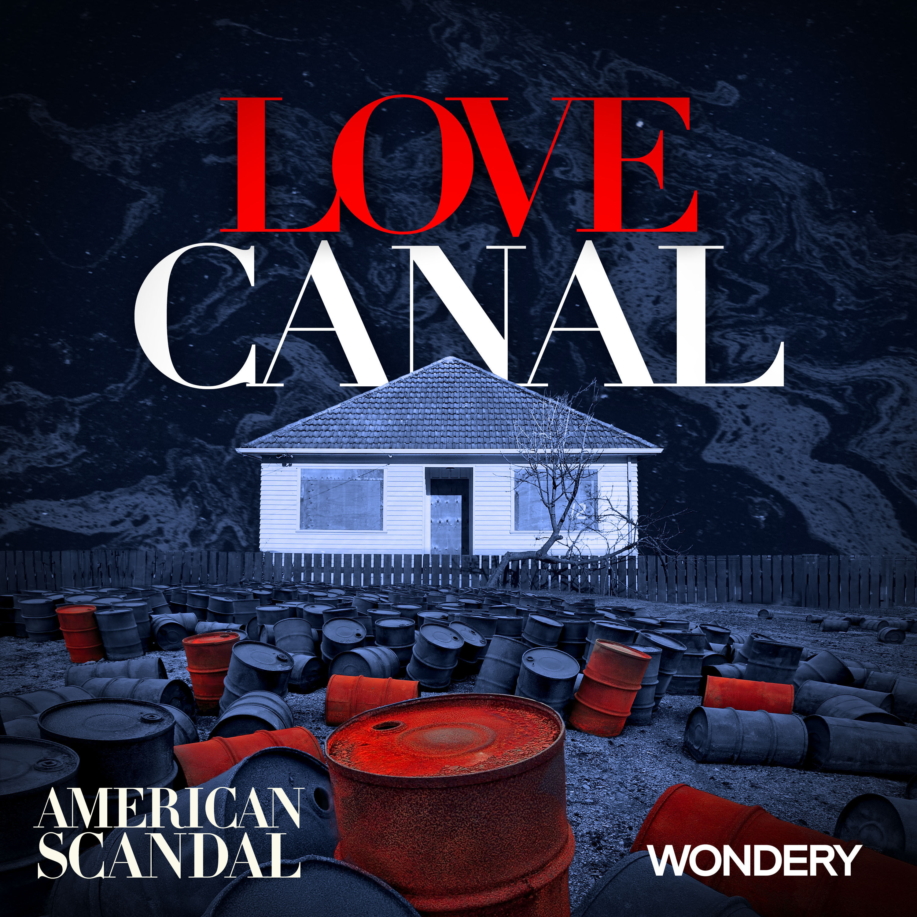 Love Canal | The Education of Lois Gibbs | 1