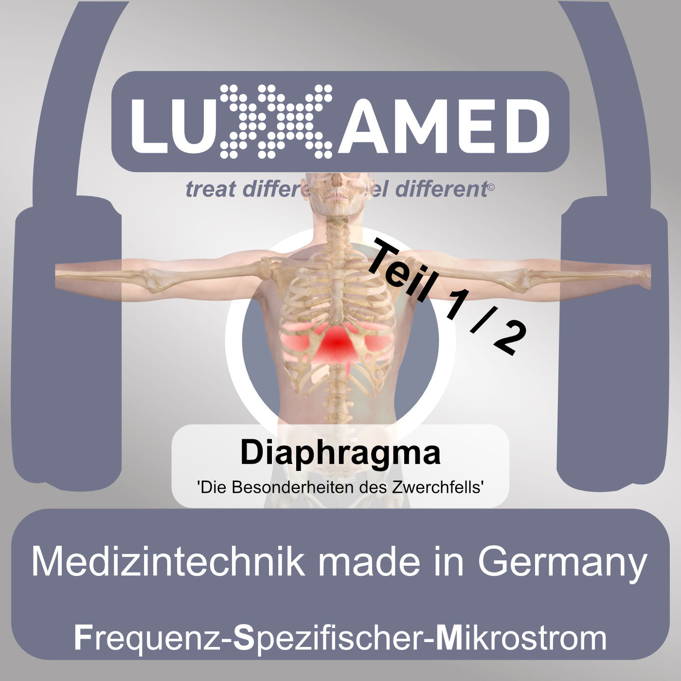 M. Diaphragma – Die Besonderheiten des Zwerchfells Teil 1