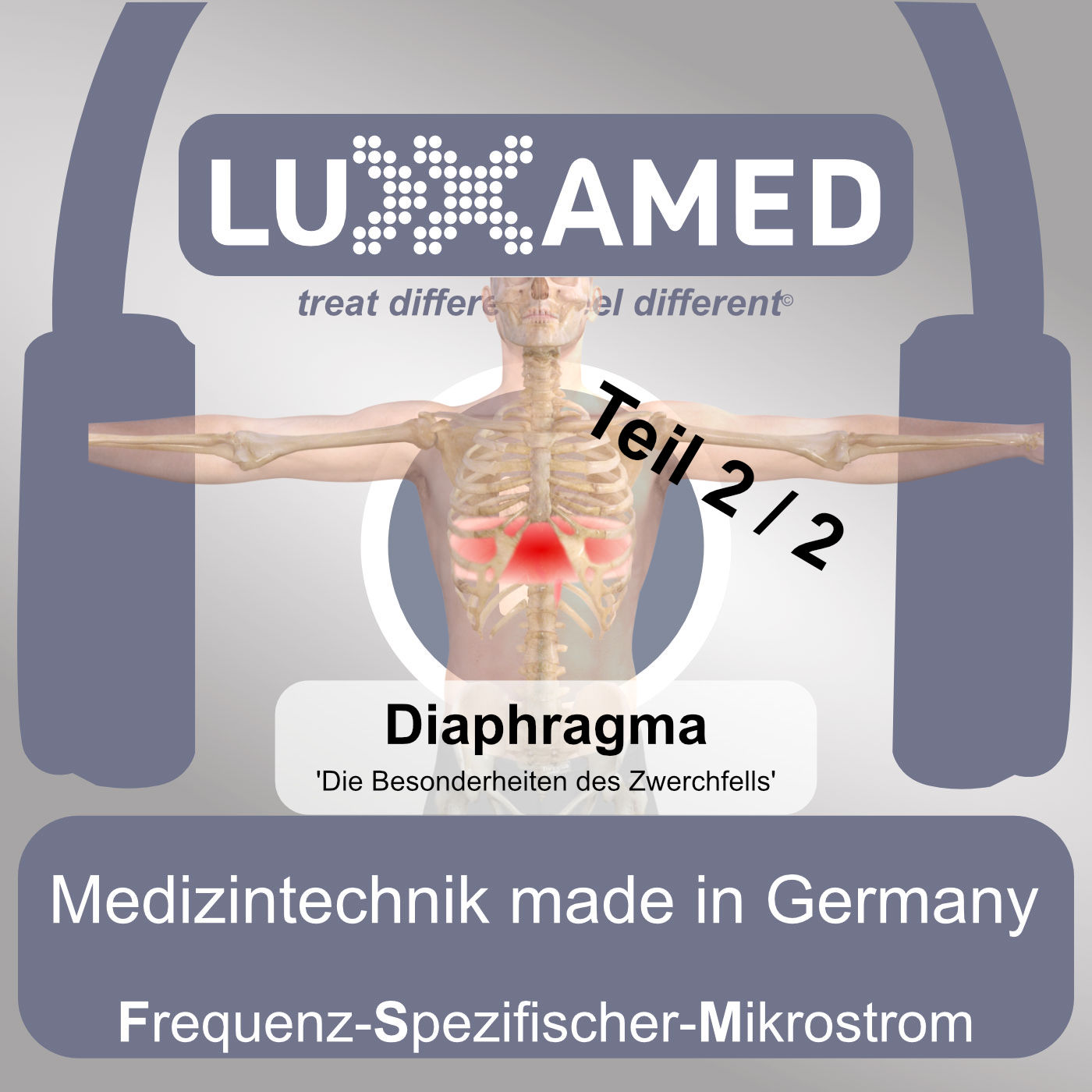 M. Diaphragma – Die Besonderheiten des Zwerchfells Teil 2
