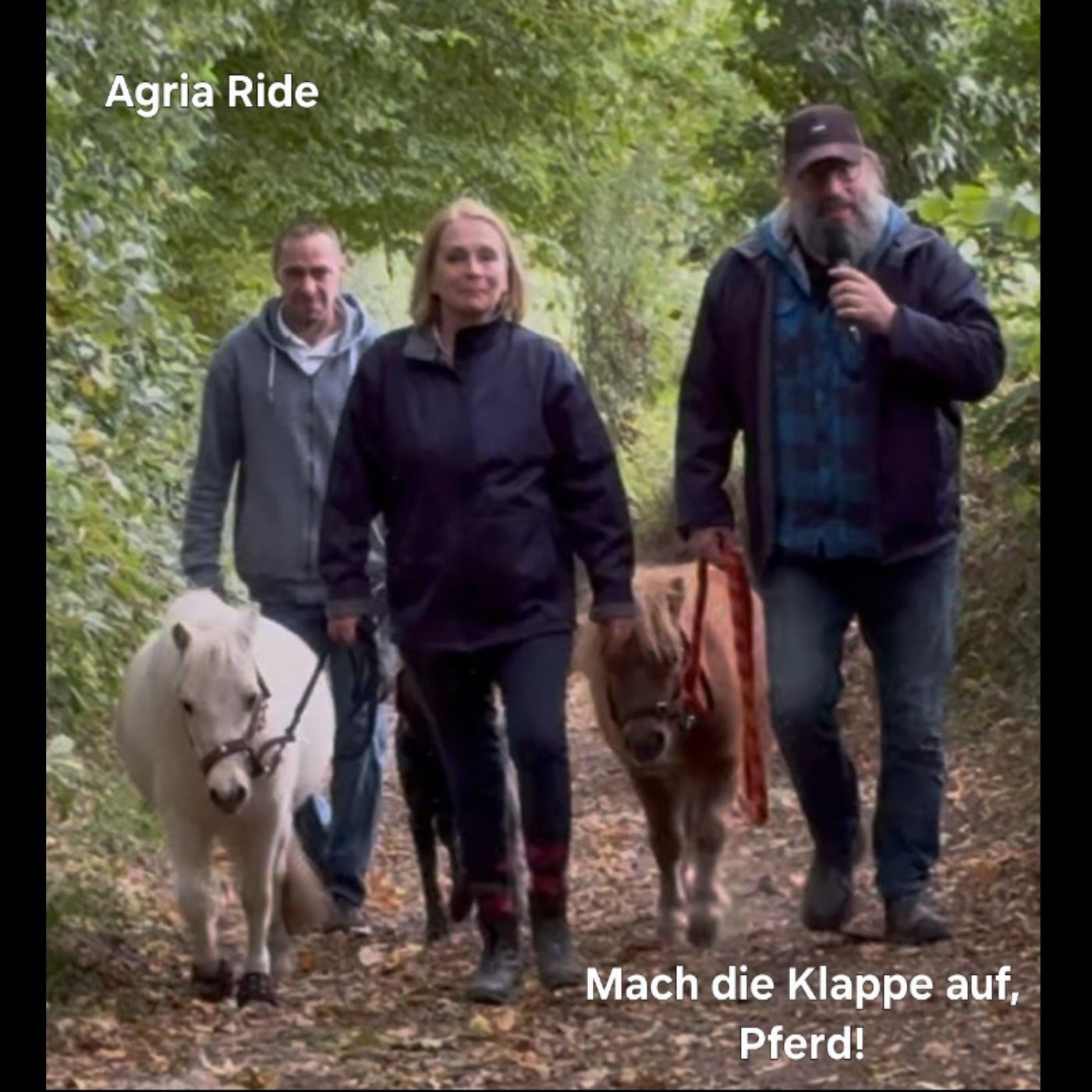 Mach die Klappe auf, Pferd! Folge 12 "Agria Ride"
