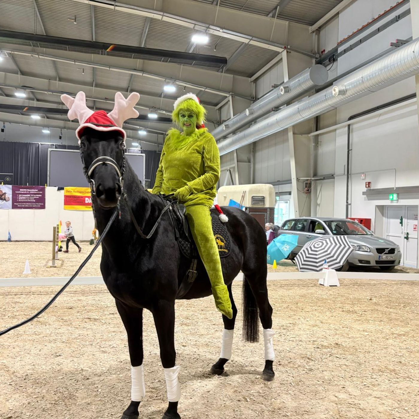 Mach die Klappe auf, Pferd! Folge 15 "Dakota"