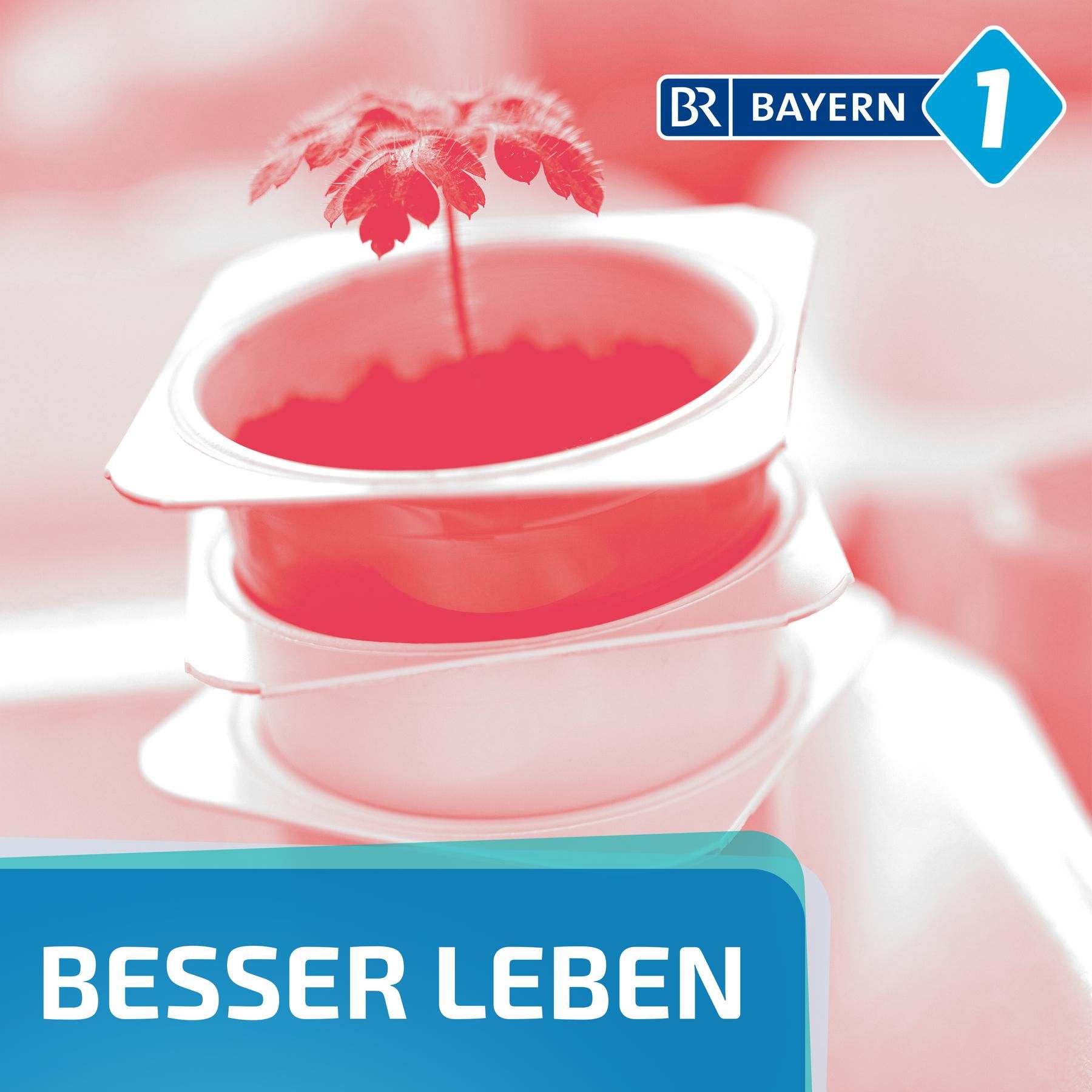 Machen Sie auch noch diese Fehler bei der Mülltrennung?