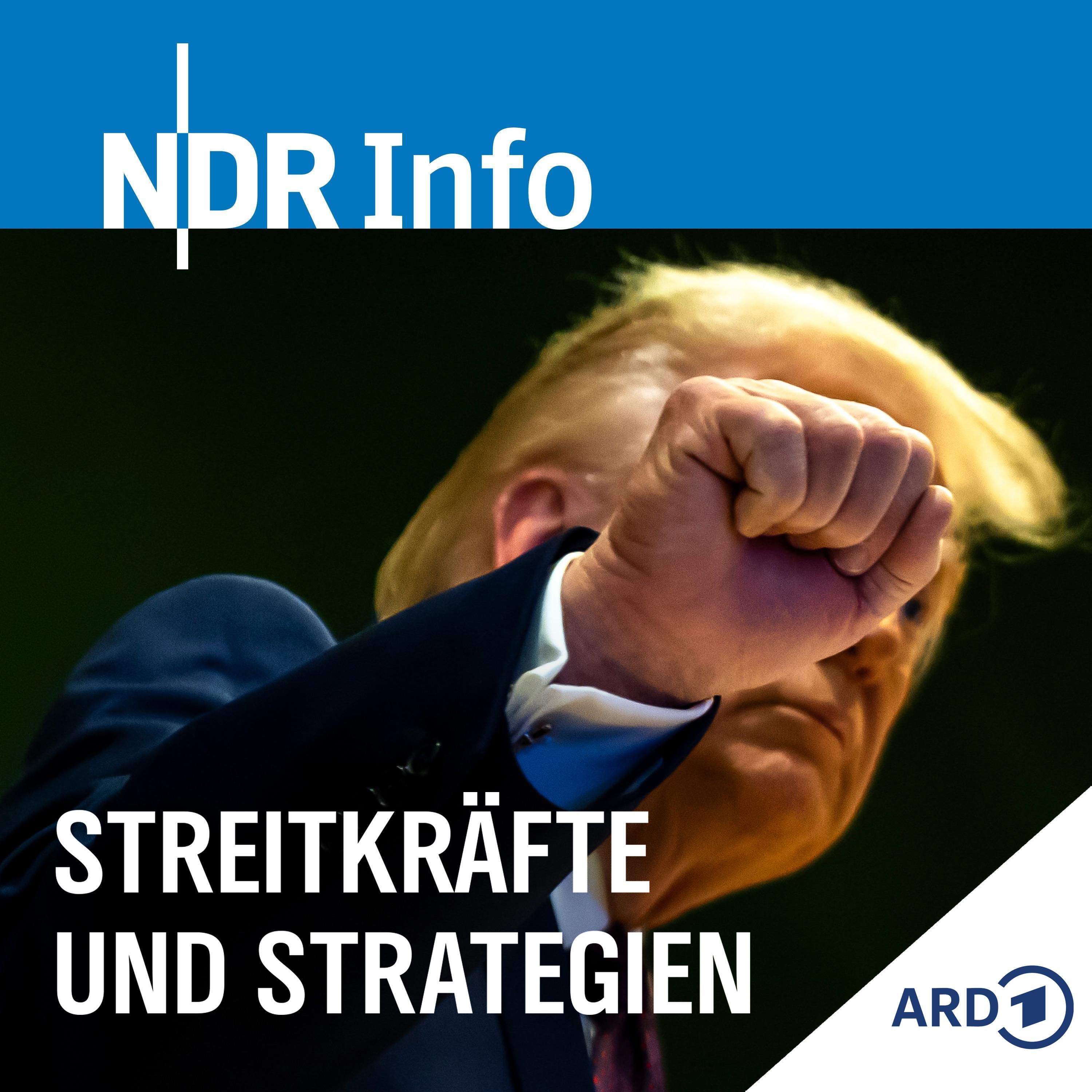 Macht Trump Europa stark? (mit Jana Puglierin)