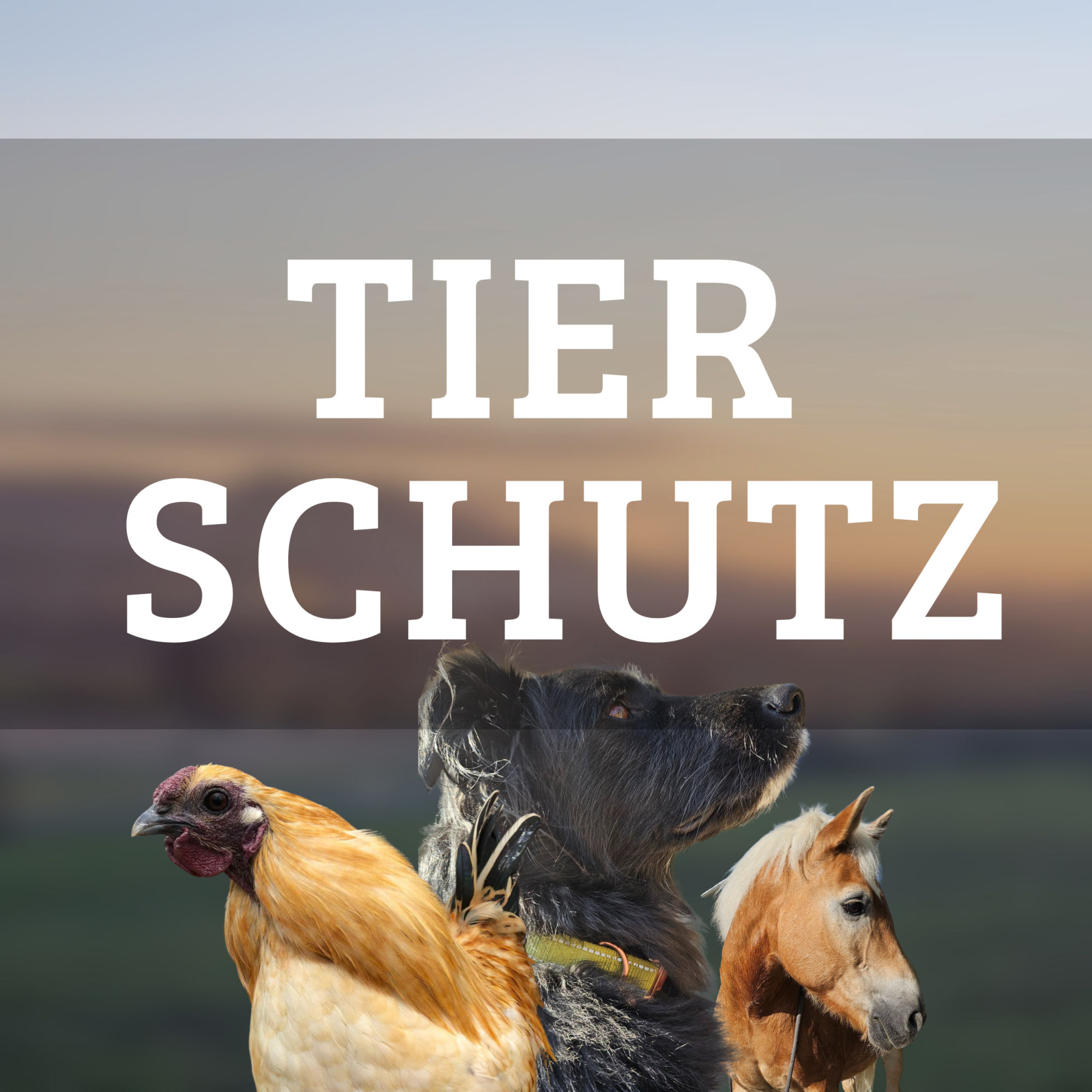 Mahnwache in Nürnberg mit Herz & Pfote