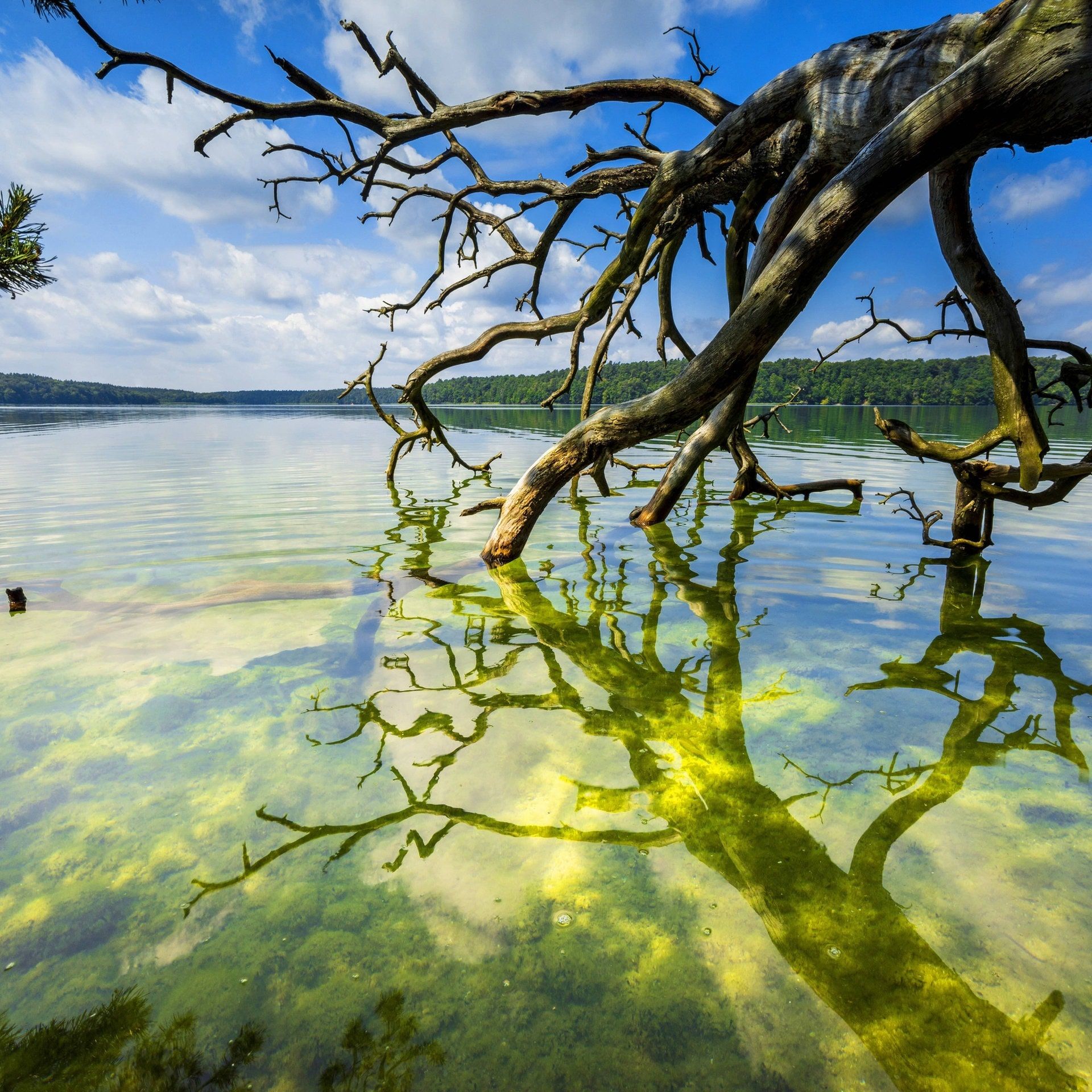 Maike Wetzel: Schwebende Brücken