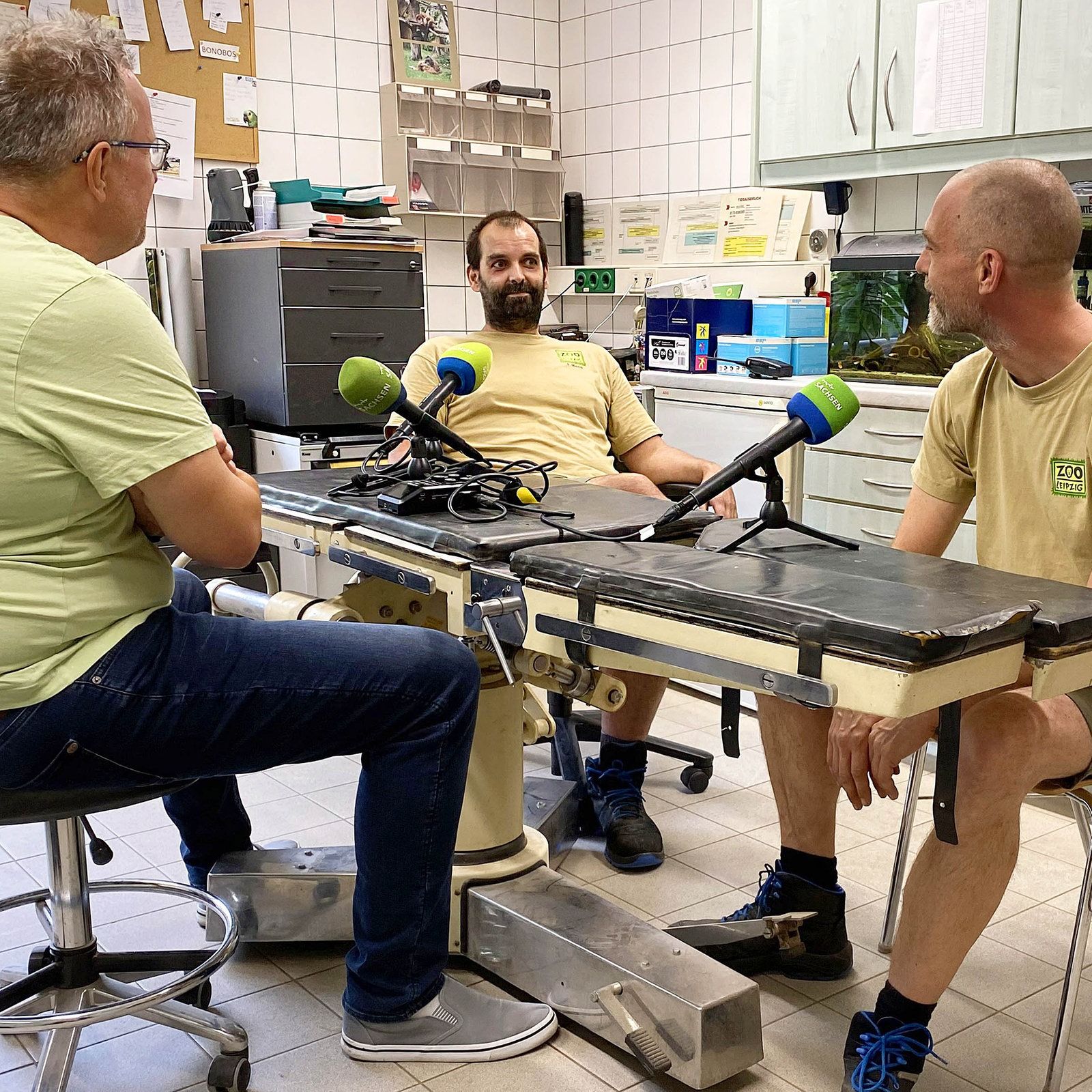 "Make Love Not War" - Das Motto der Bonobos