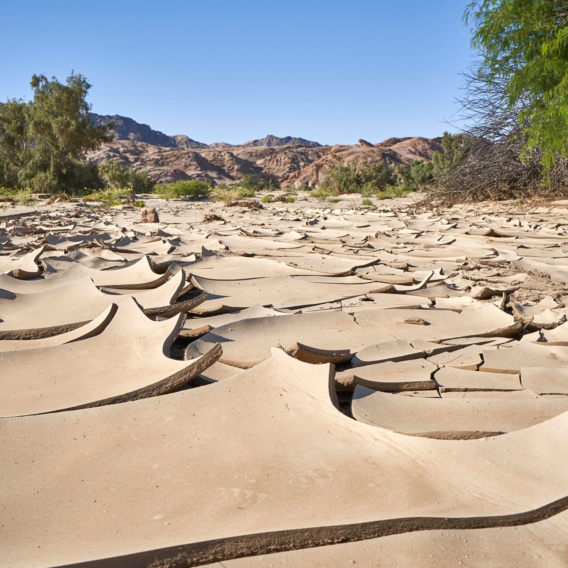 Mammutprojekt: Wie weit ist die "Grüne Mauer" in Afrika?