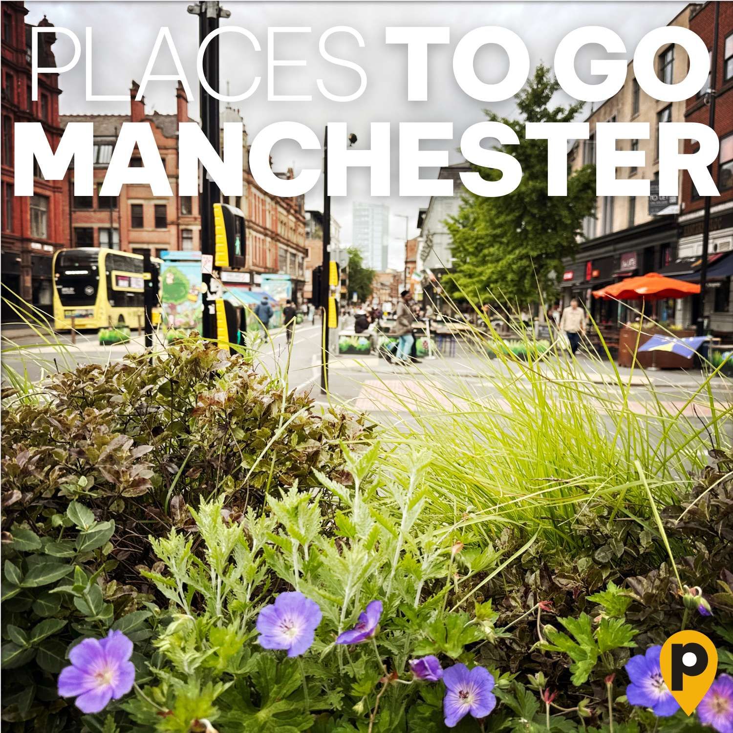Manchester – die Basics