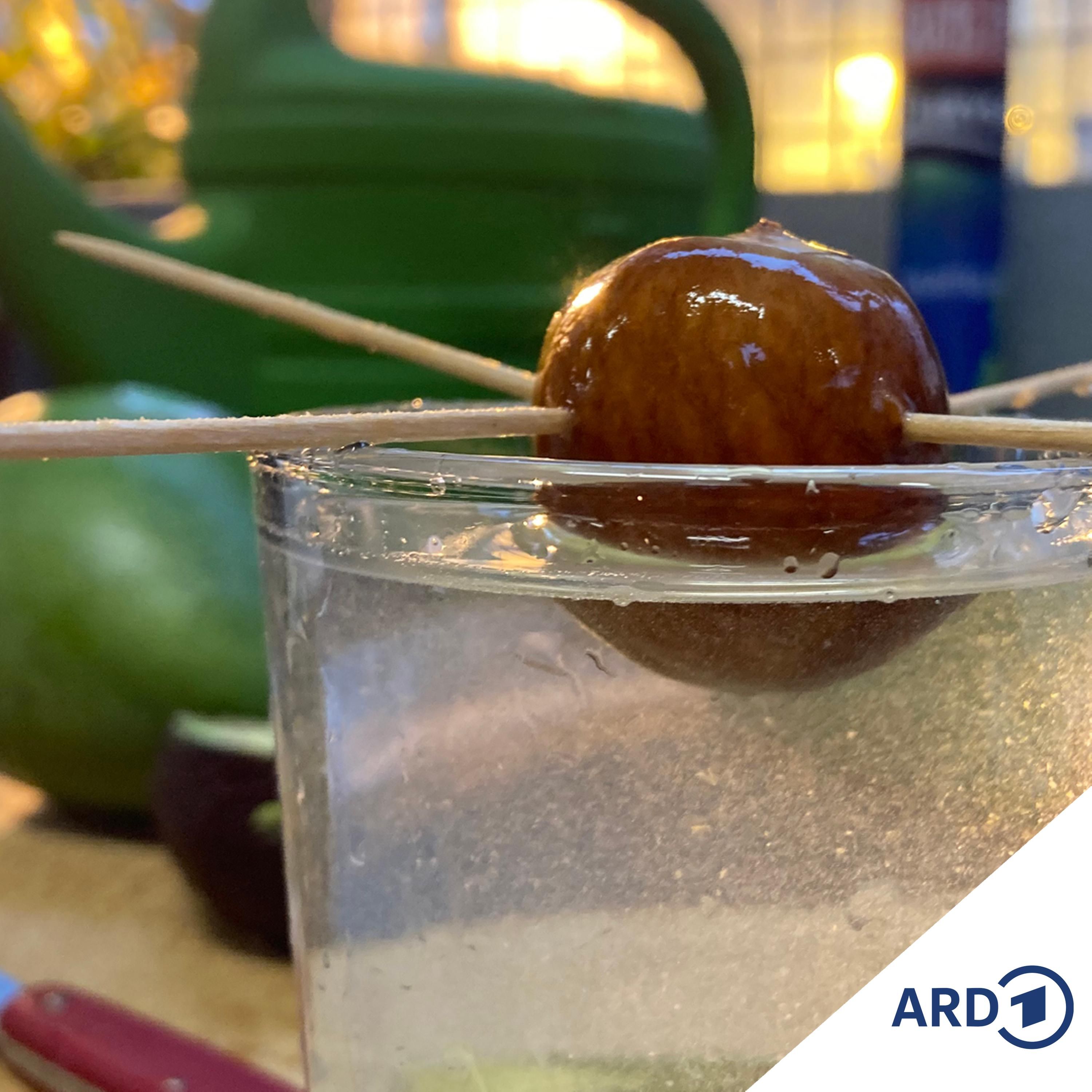 Mango, Avocado und Co: Pflanzen aus Kernen ziehen