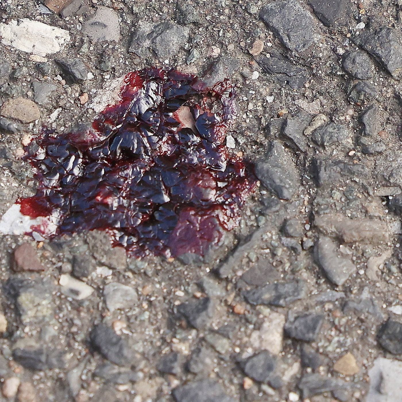 Markus Rieger-Ladich: Die Wurzel der Unmenschlichkeit