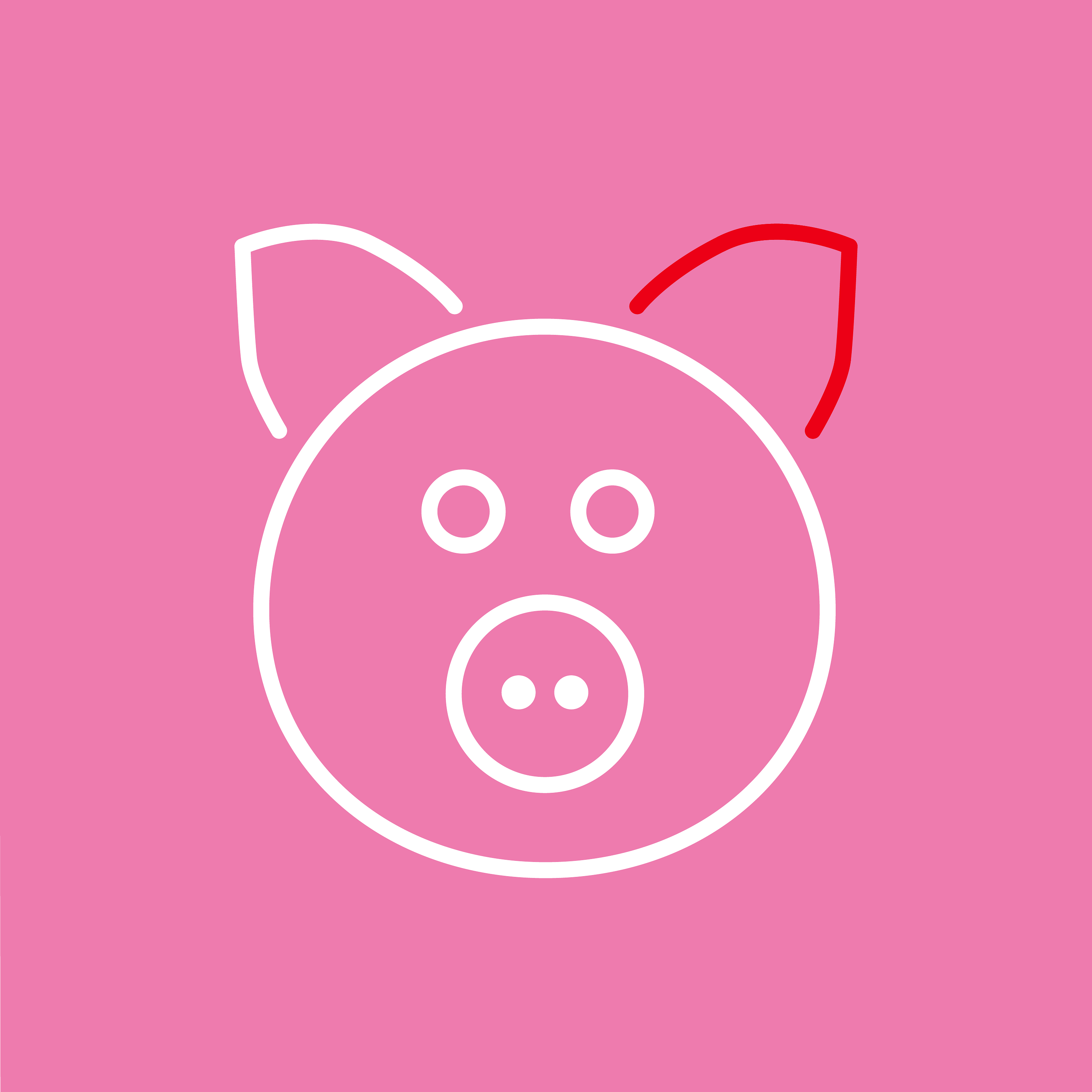 Marzipanschwein und Weihnachtsgrölen in Lübeck