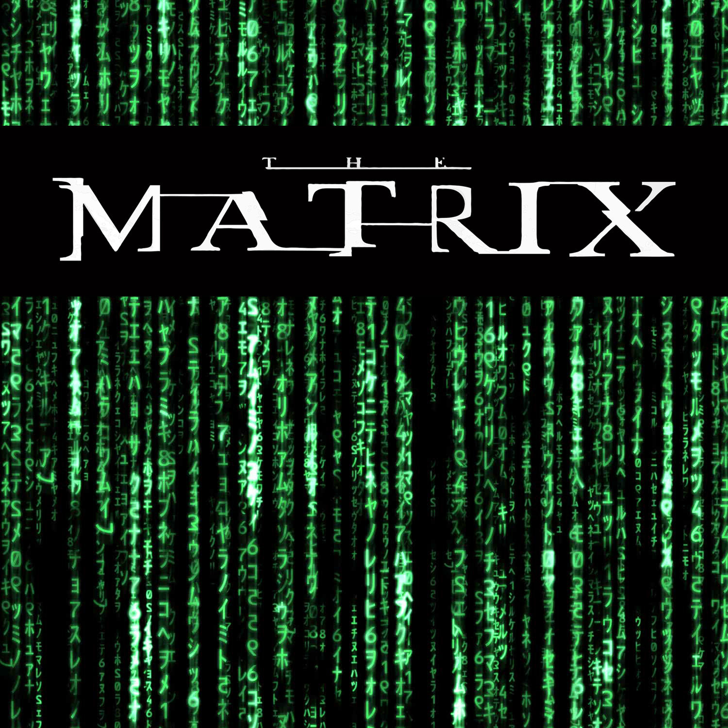 Matrix - wir steigen tief in den Kaninchenbau