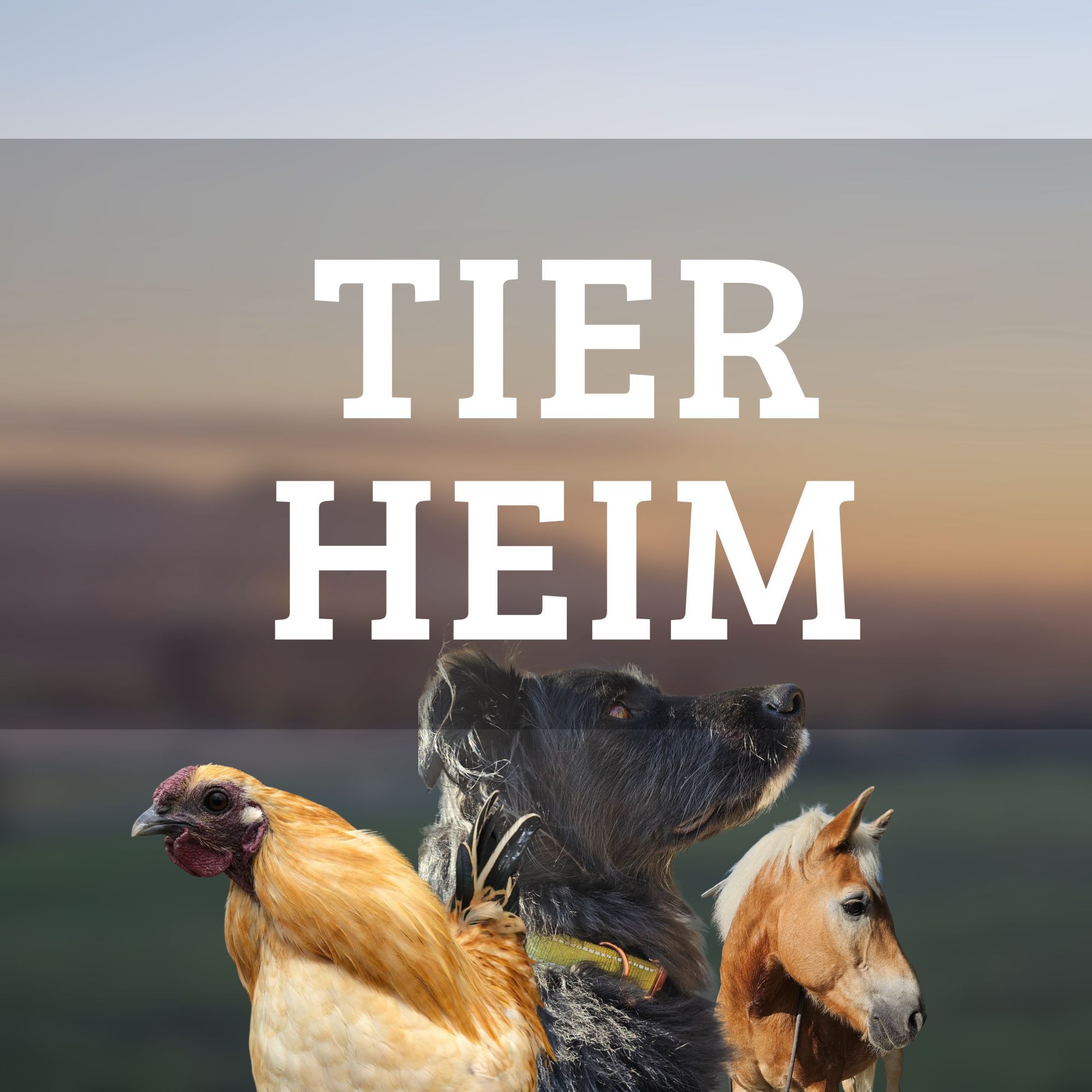 Maulkörbe, Missstände & Mut zum Aussprechen