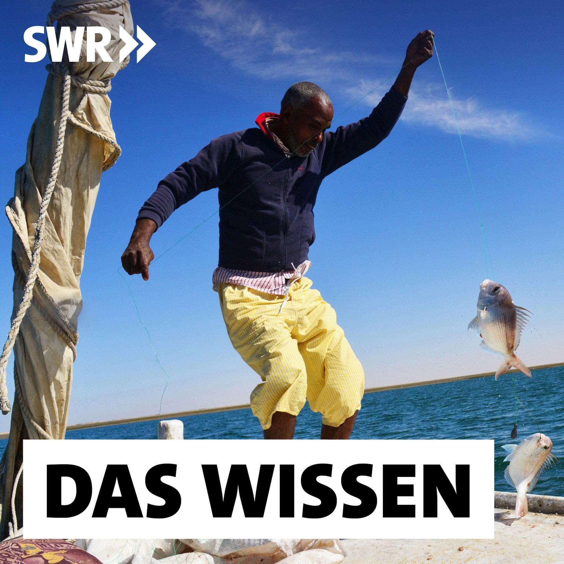 Mauretanien – Wie sich Naturschutz und Fischerei auf Migration auswirken