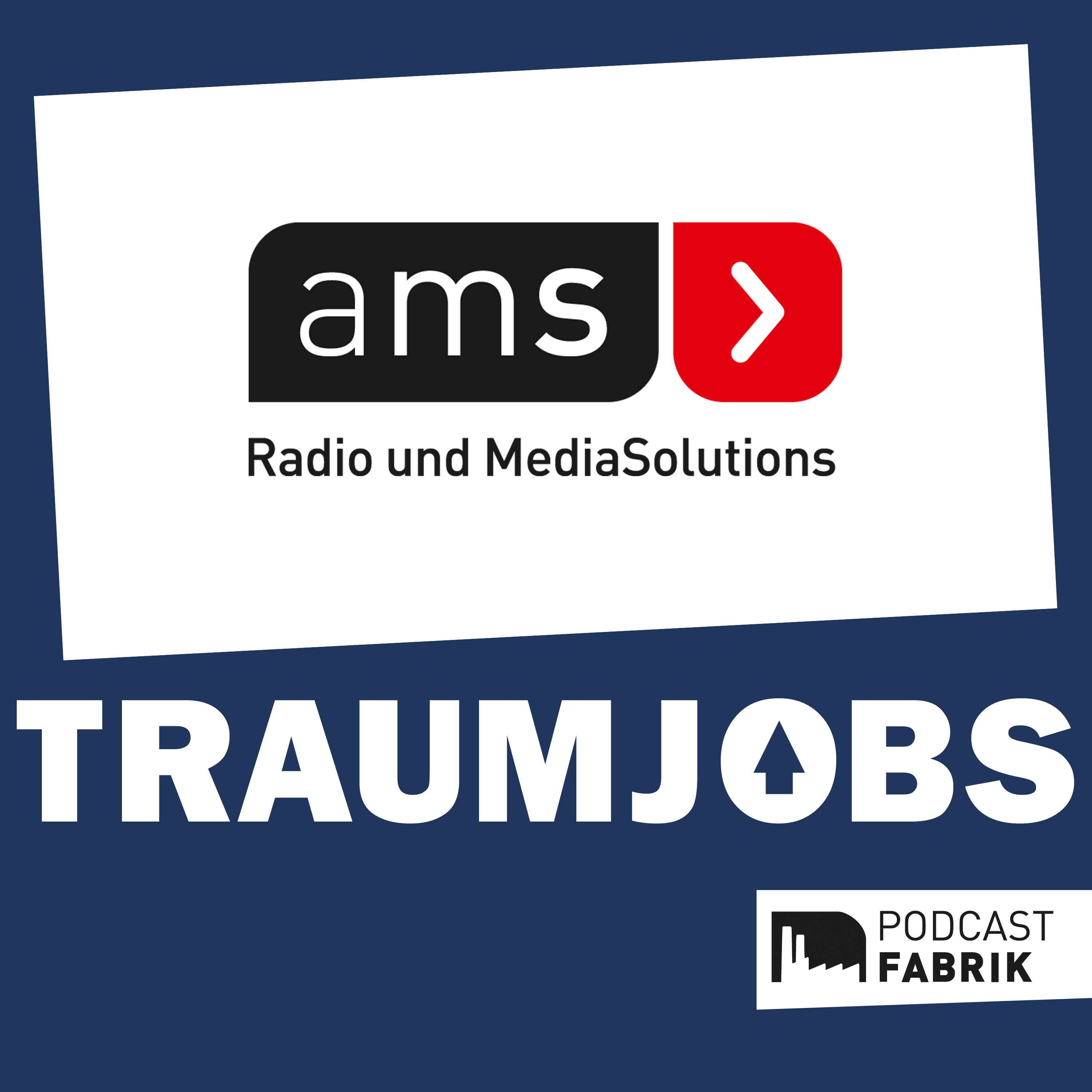 Media Sales Manager:in #12