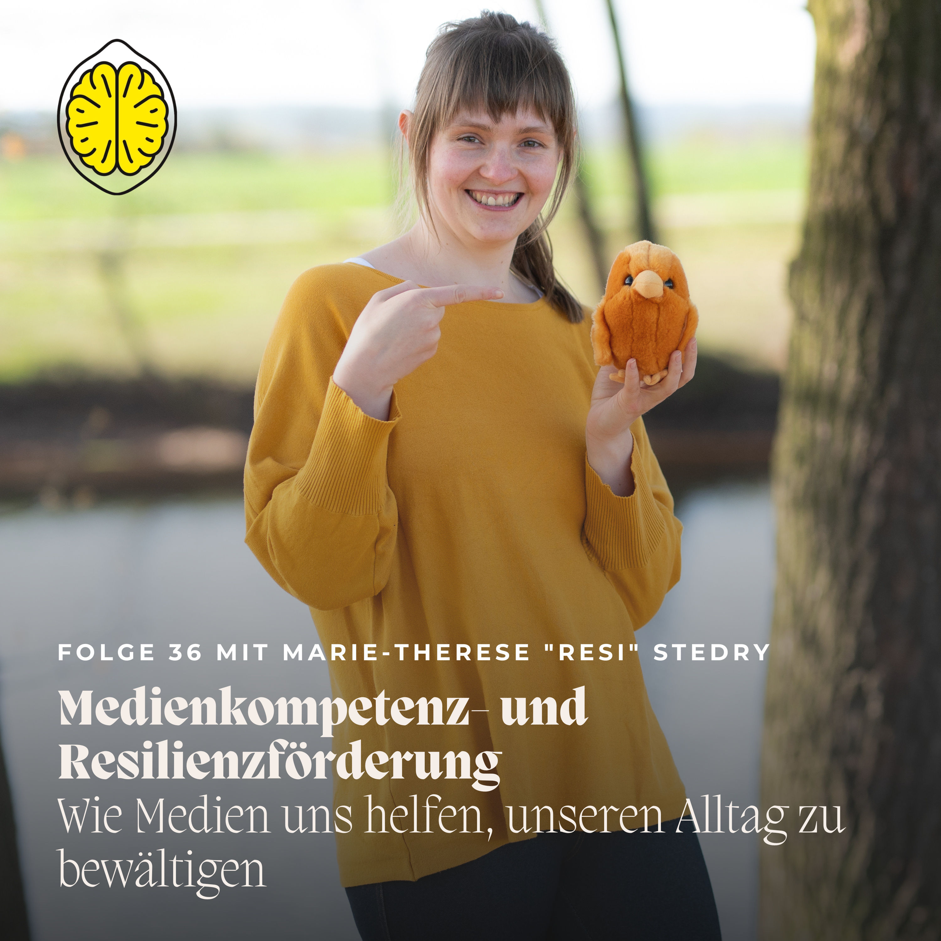 Medienkompetenz- und Resilienzförderung — Wie Medien uns helfen, unseren Alltag zu bewältigen