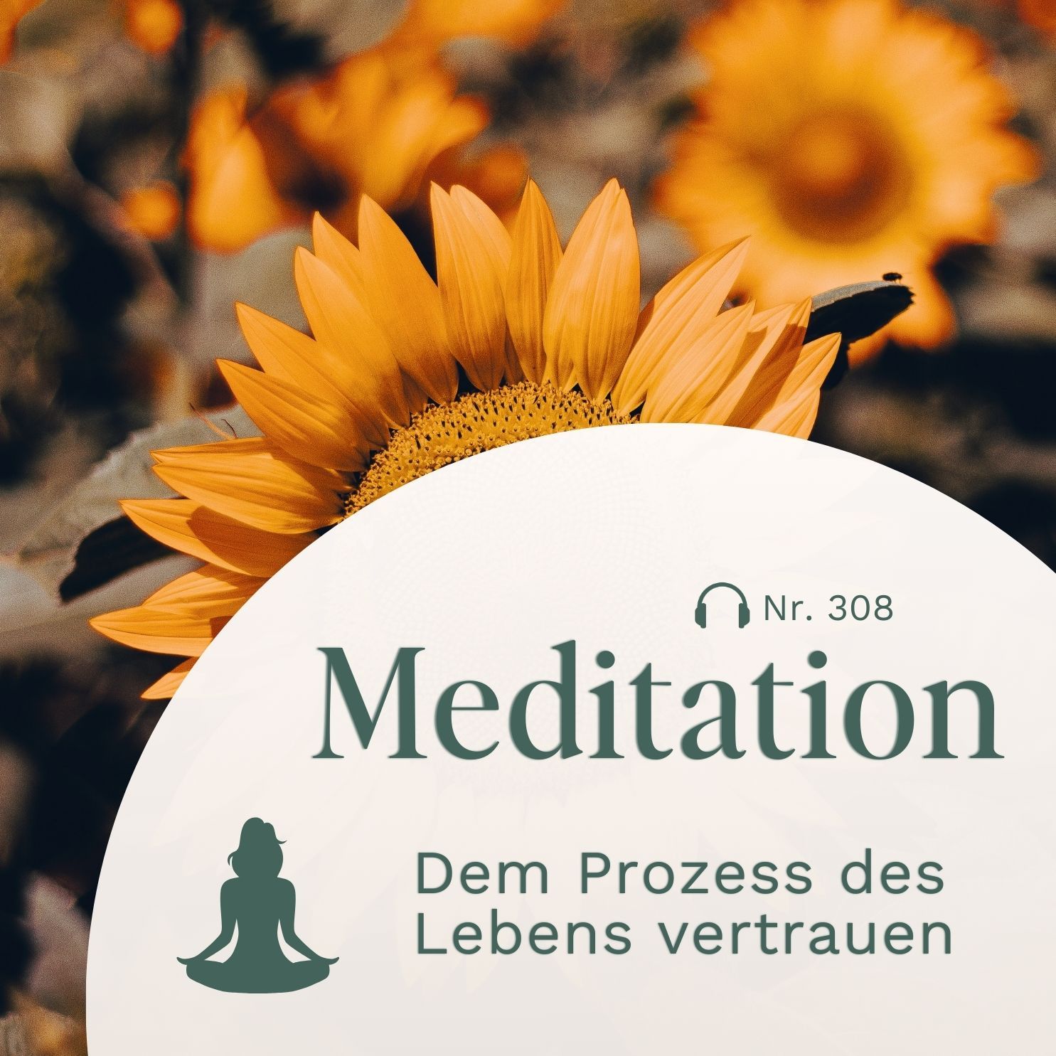Meditation // Dem Prozess des Lebens vertrauen