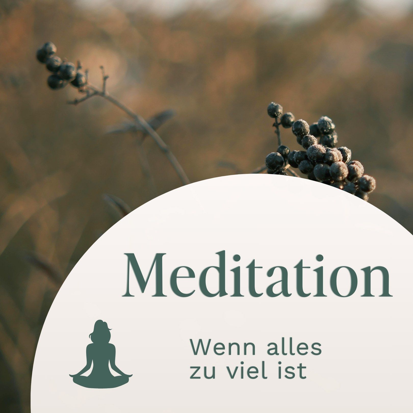 Meditation // Wenn alles zu viel ist