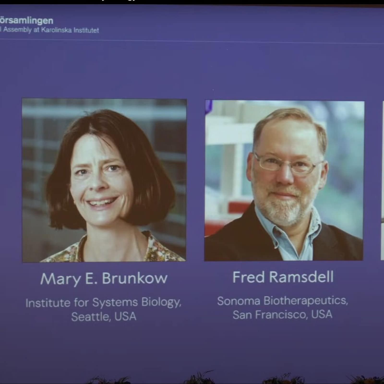 Medizin-Nobelpreis für Forschung an Immunsystem