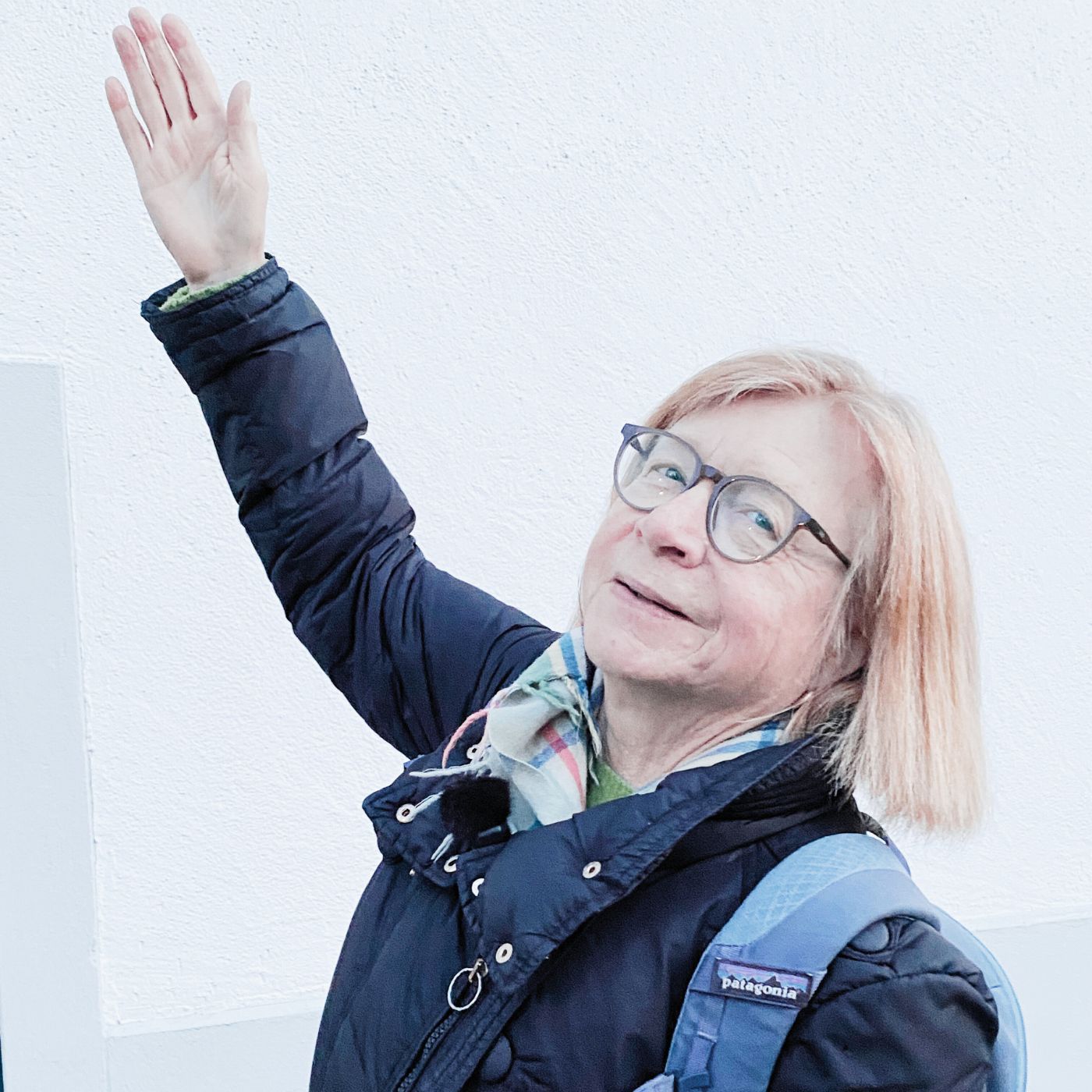 Mehlschwalben: Wenn den Baumeisterinnen der Mörtel ausgeht