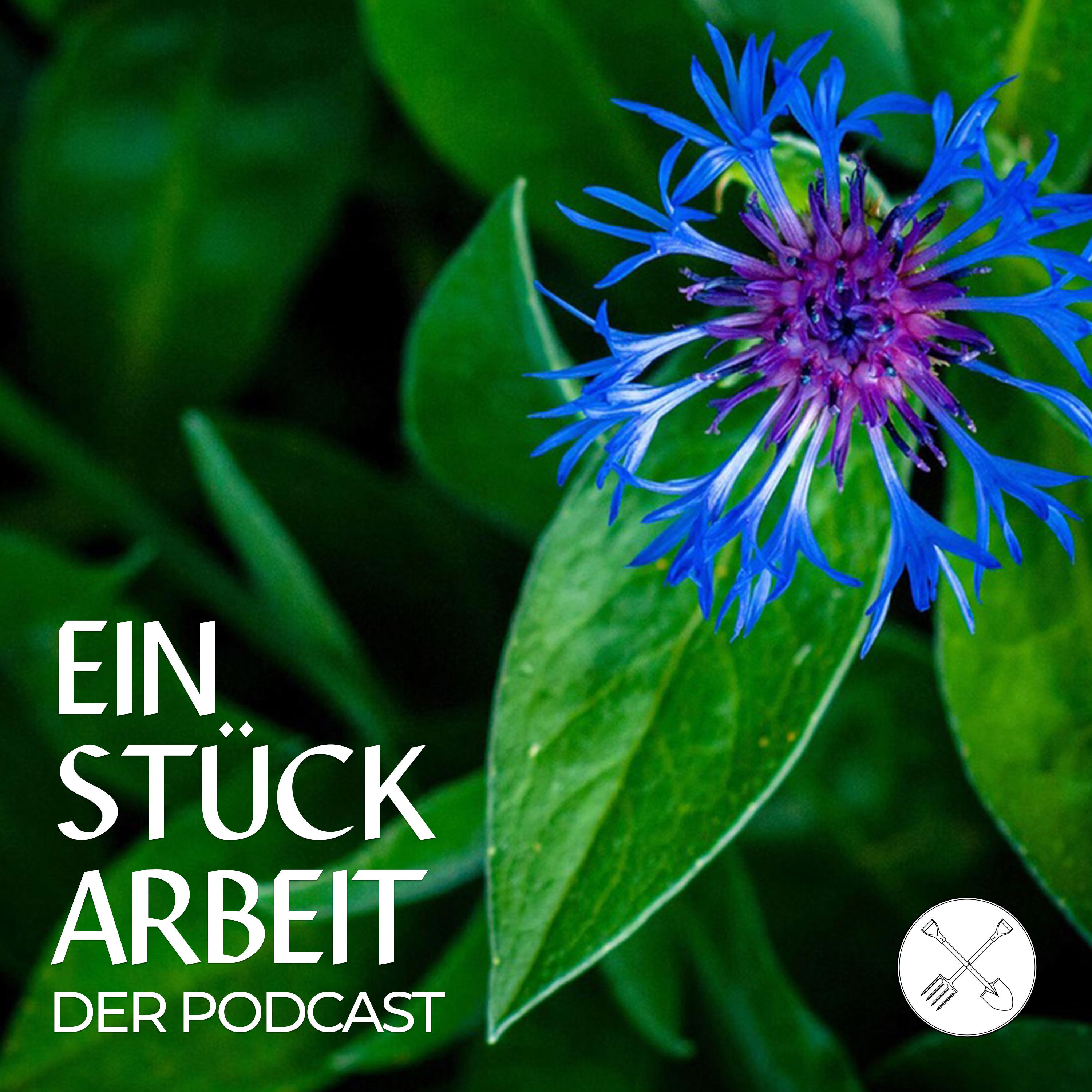 Mehr Achtsamkeit im Garten leben: 7 Tipps!