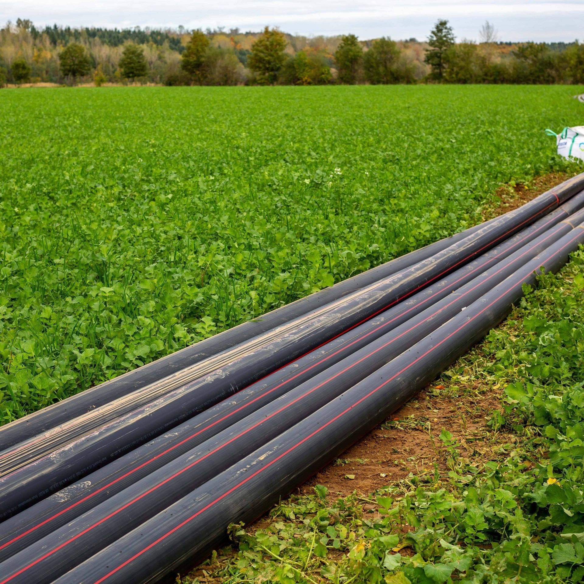 Mehr als 2.000 Kilometer neue Stromautobahnen genehmigt