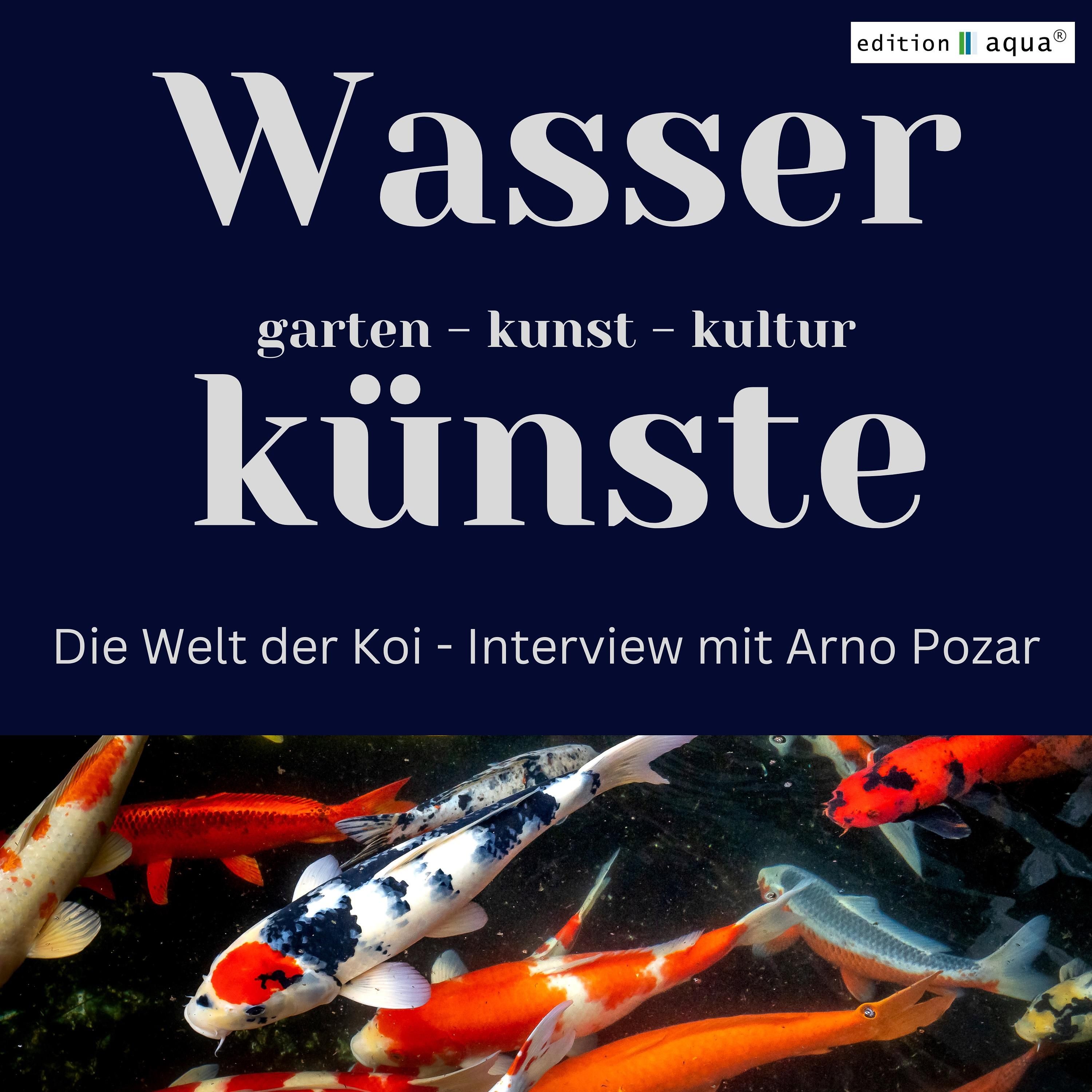 Mehr als nur ein Fisch - Koi in den Gartenkulturen