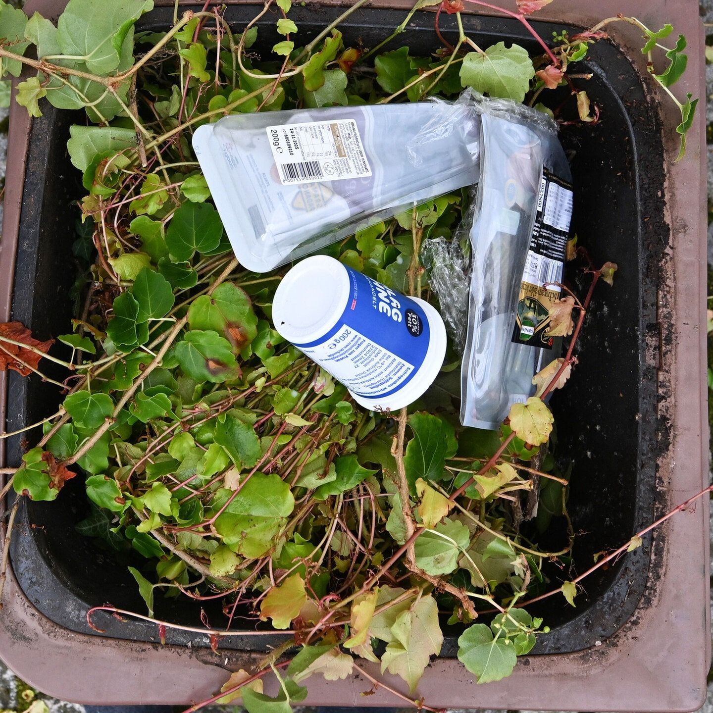 Mehr Bio in die Biotonne